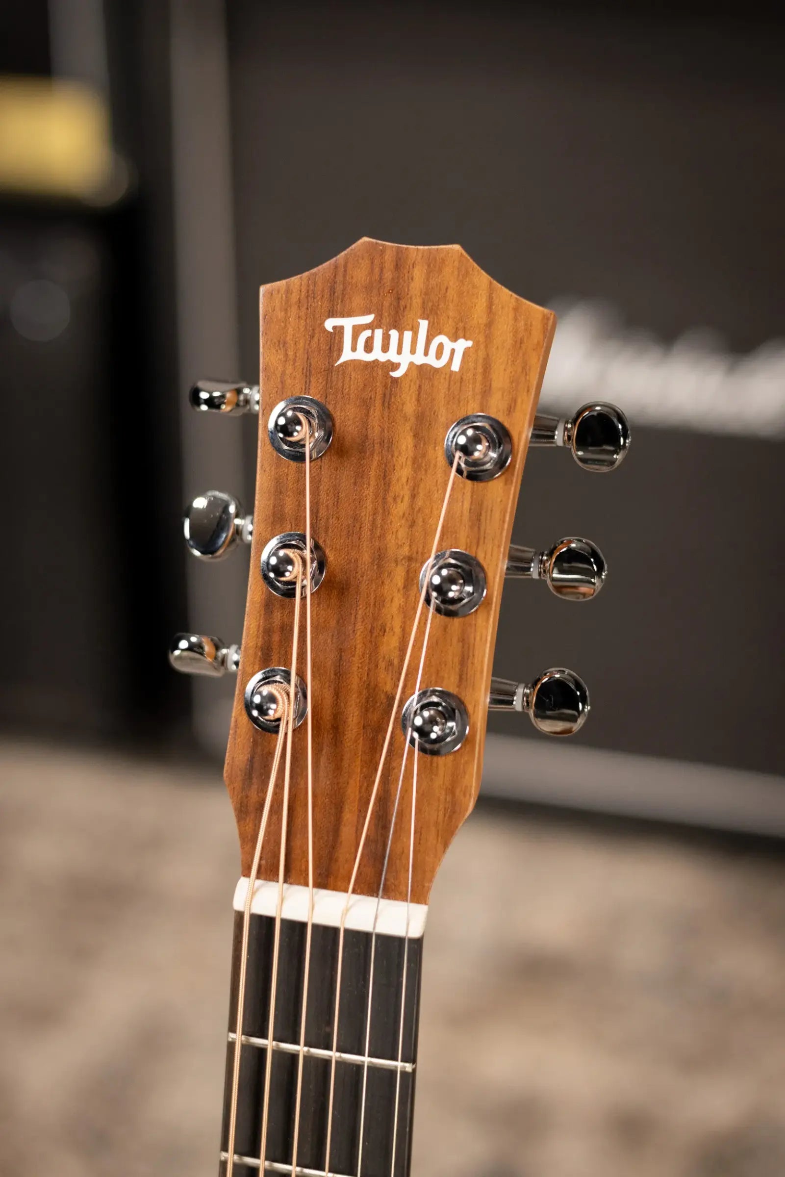 Taylor BT2 Baby Taylor Acoustic Guitar with Gig Bag