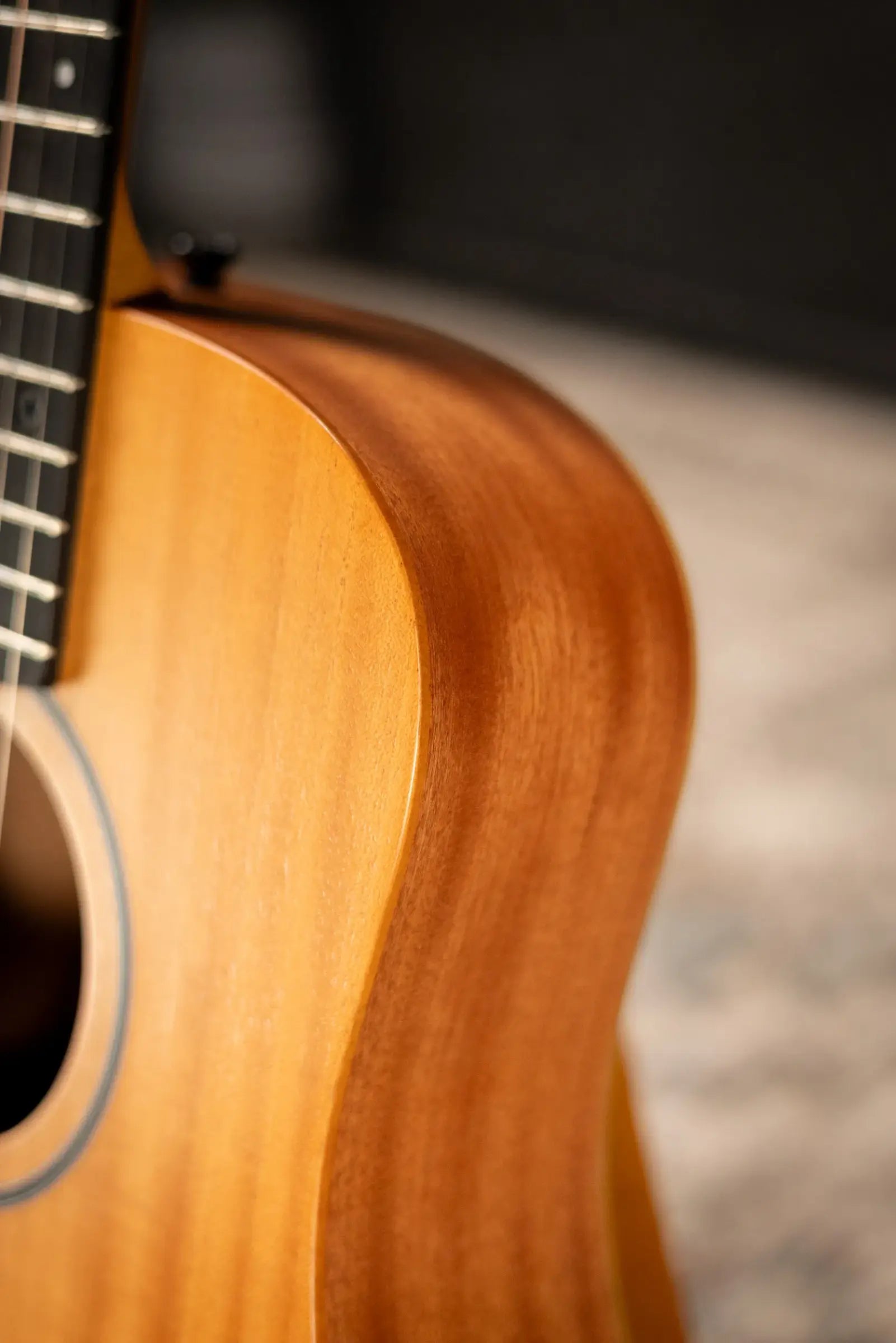 Taylor BT2 Baby Taylor Acoustic Guitar with Gig Bag