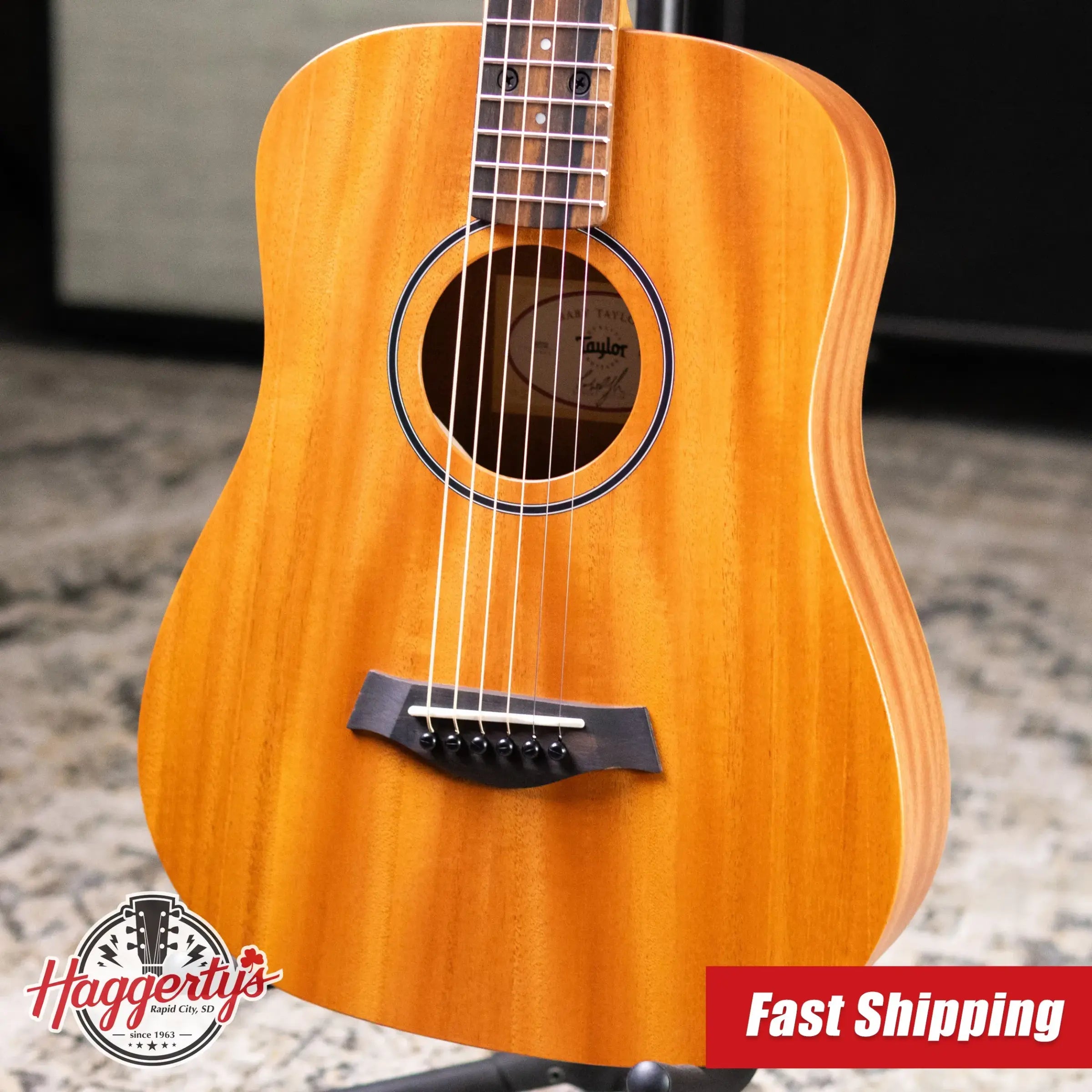 Taylor BT2 Baby Taylor Acoustic Guitar with Gig Bag