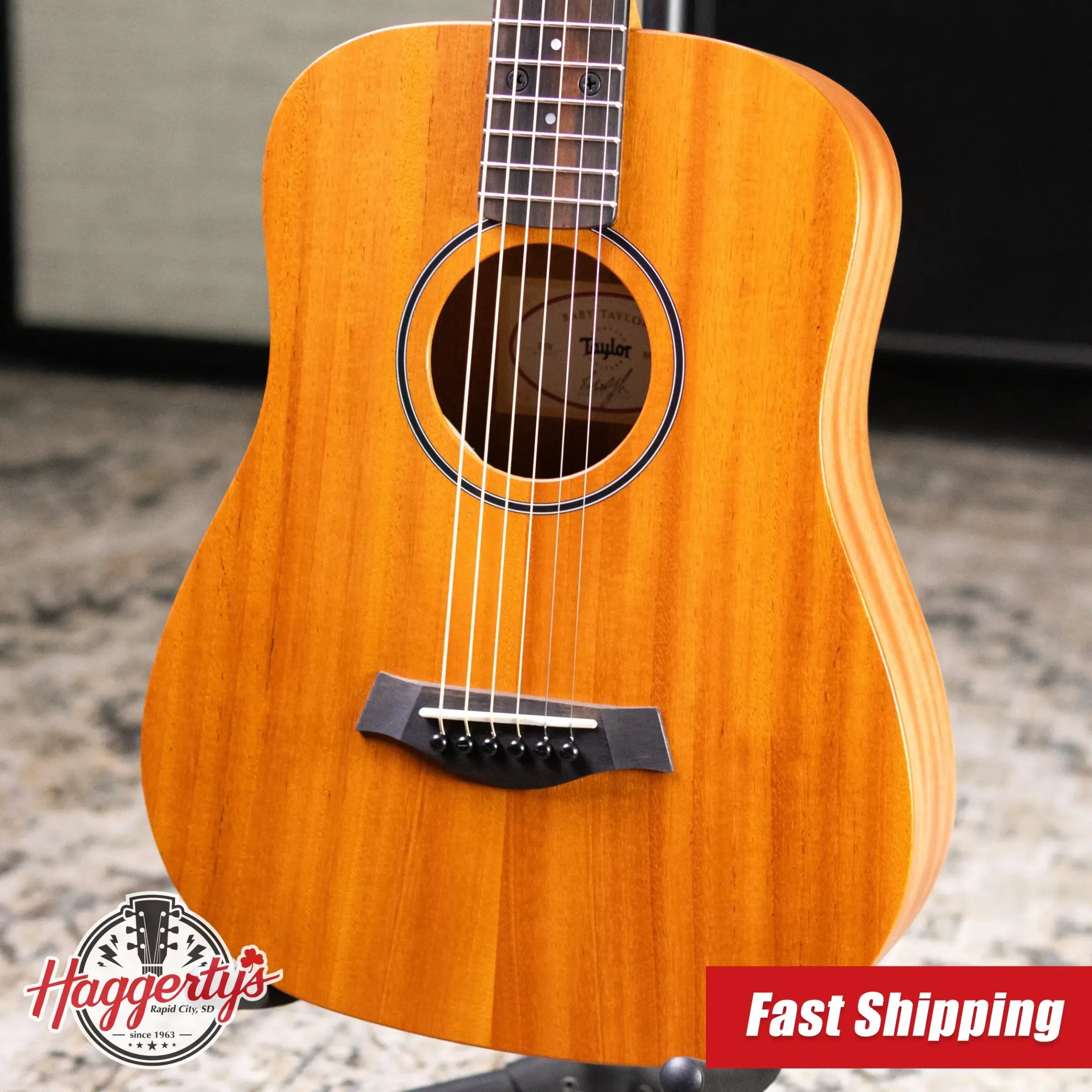 Taylor BT2 Baby Taylor Acoustic Guitar with Gig Bag