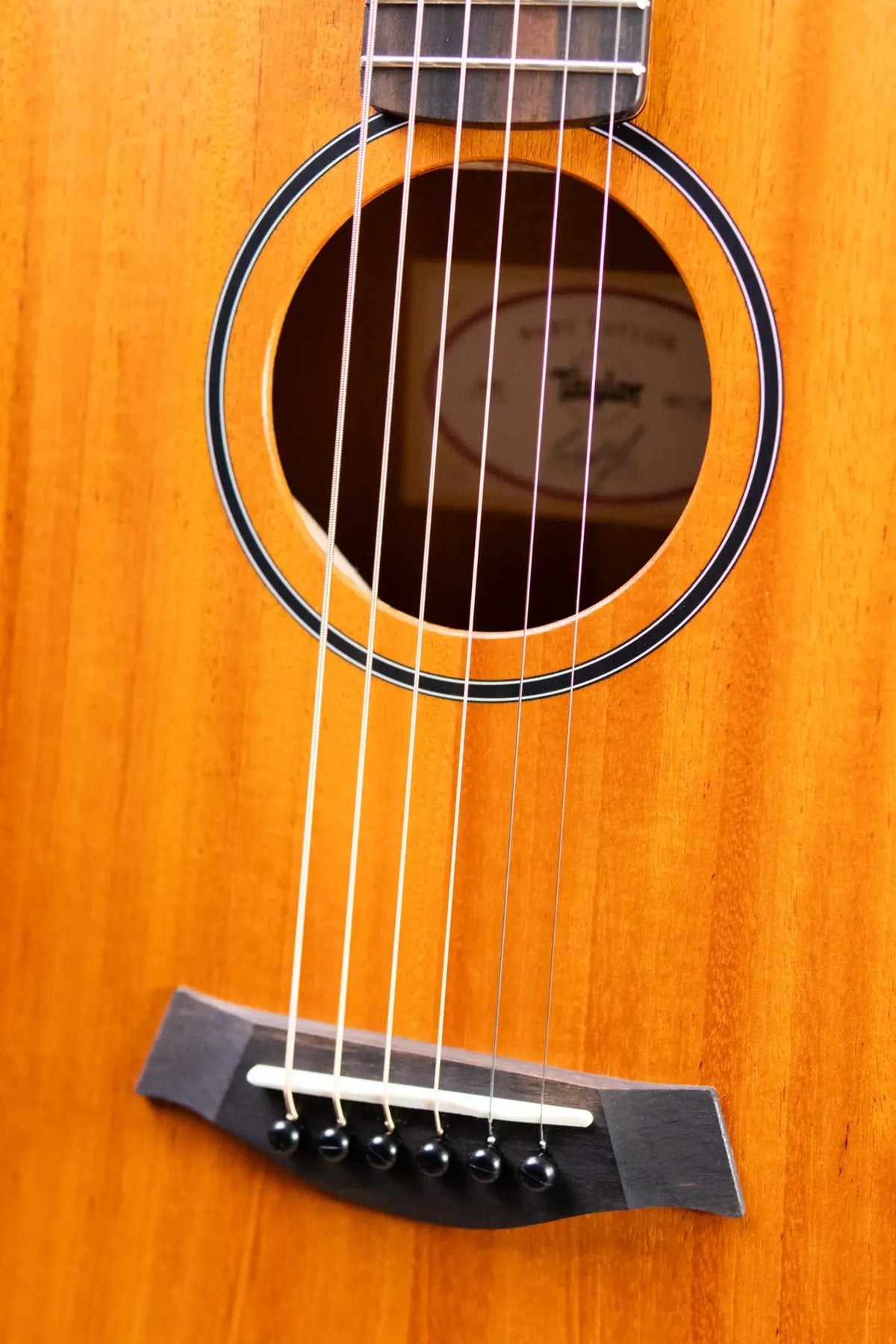 Taylor BT2 Baby Taylor Acoustic Guitar with Gig Bag