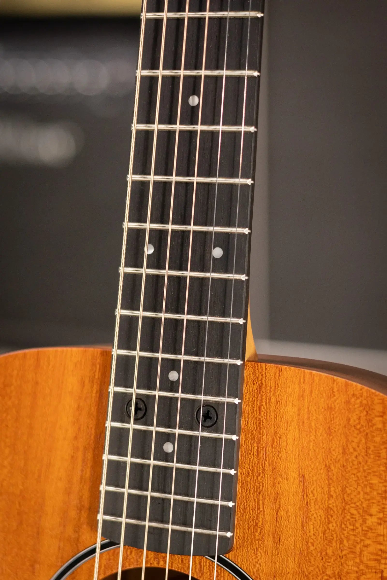 Taylor BT2 Baby Taylor Acoustic Guitar with Gig Bag