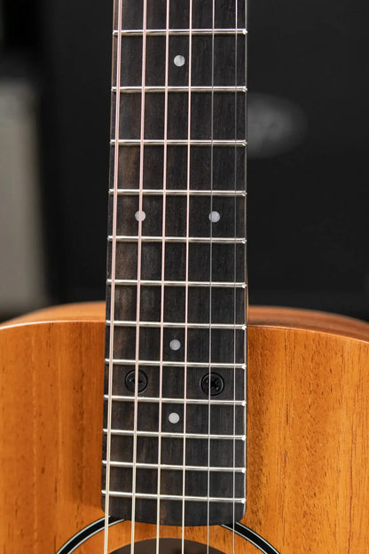 Taylor BT2 Baby Taylor Acoustic Guitar with Gig Bag - Demo