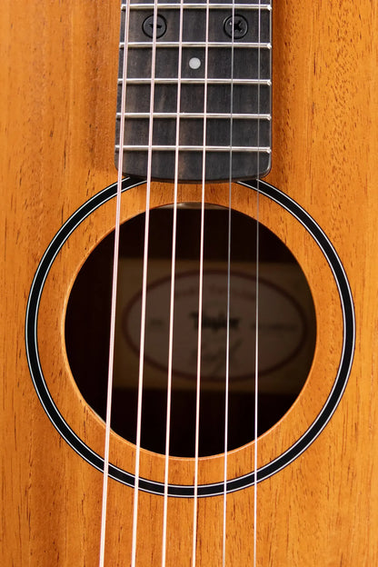 Taylor BT2 Baby Taylor Acoustic Guitar with Gig Bag - Demo