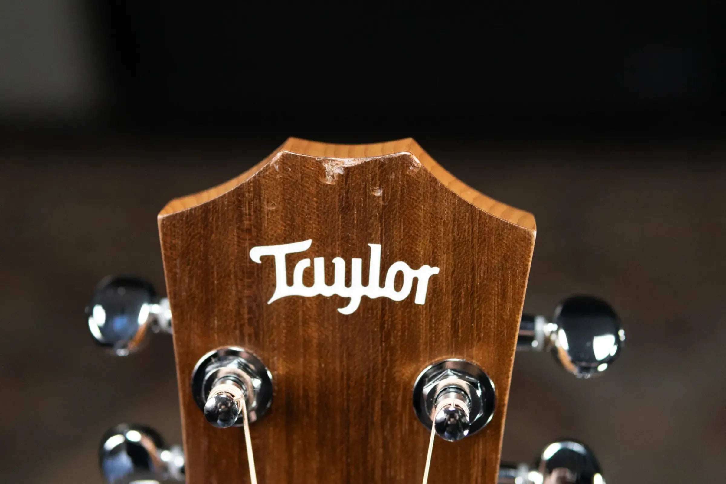 Taylor BT2 Baby Taylor Acoustic Guitar with Gig Bag - Floor Model