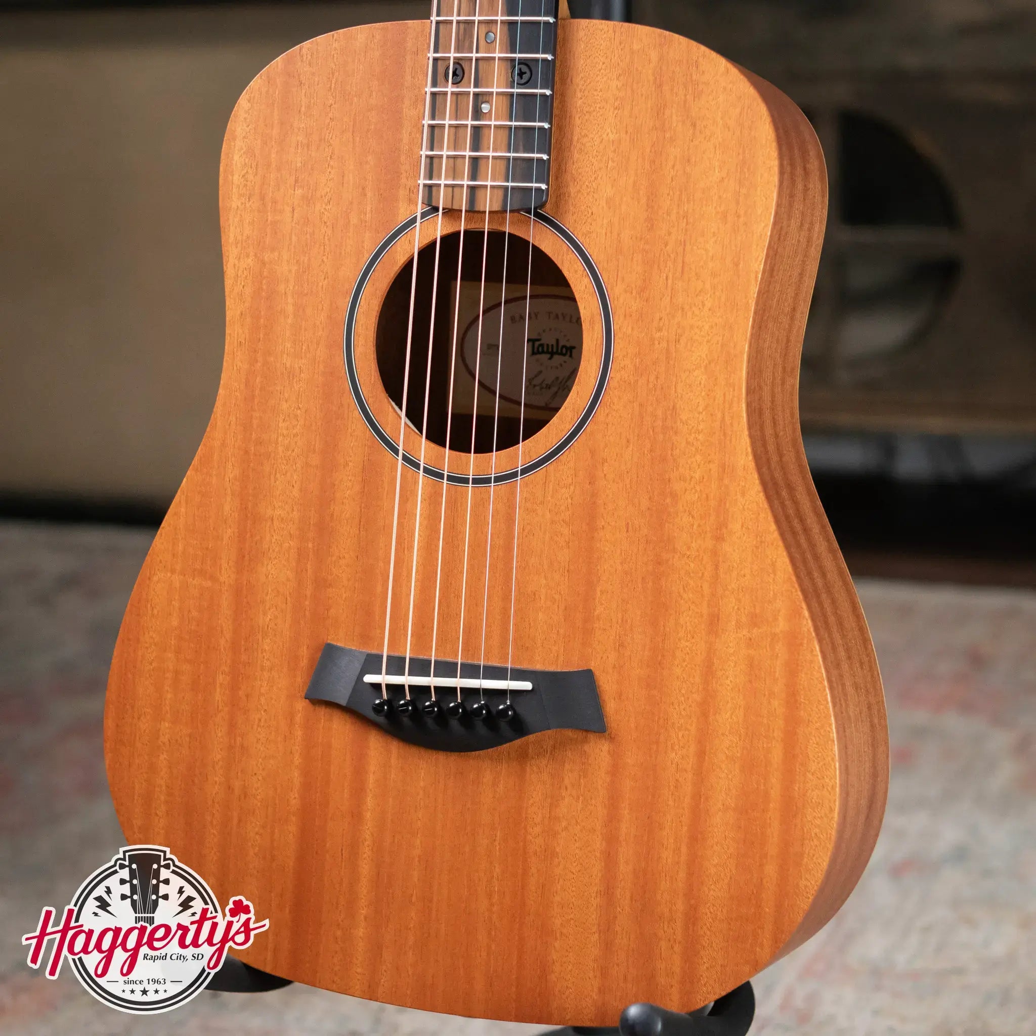 Taylor BT2 Mahogany Acoustic Guitar with Gig Bag
