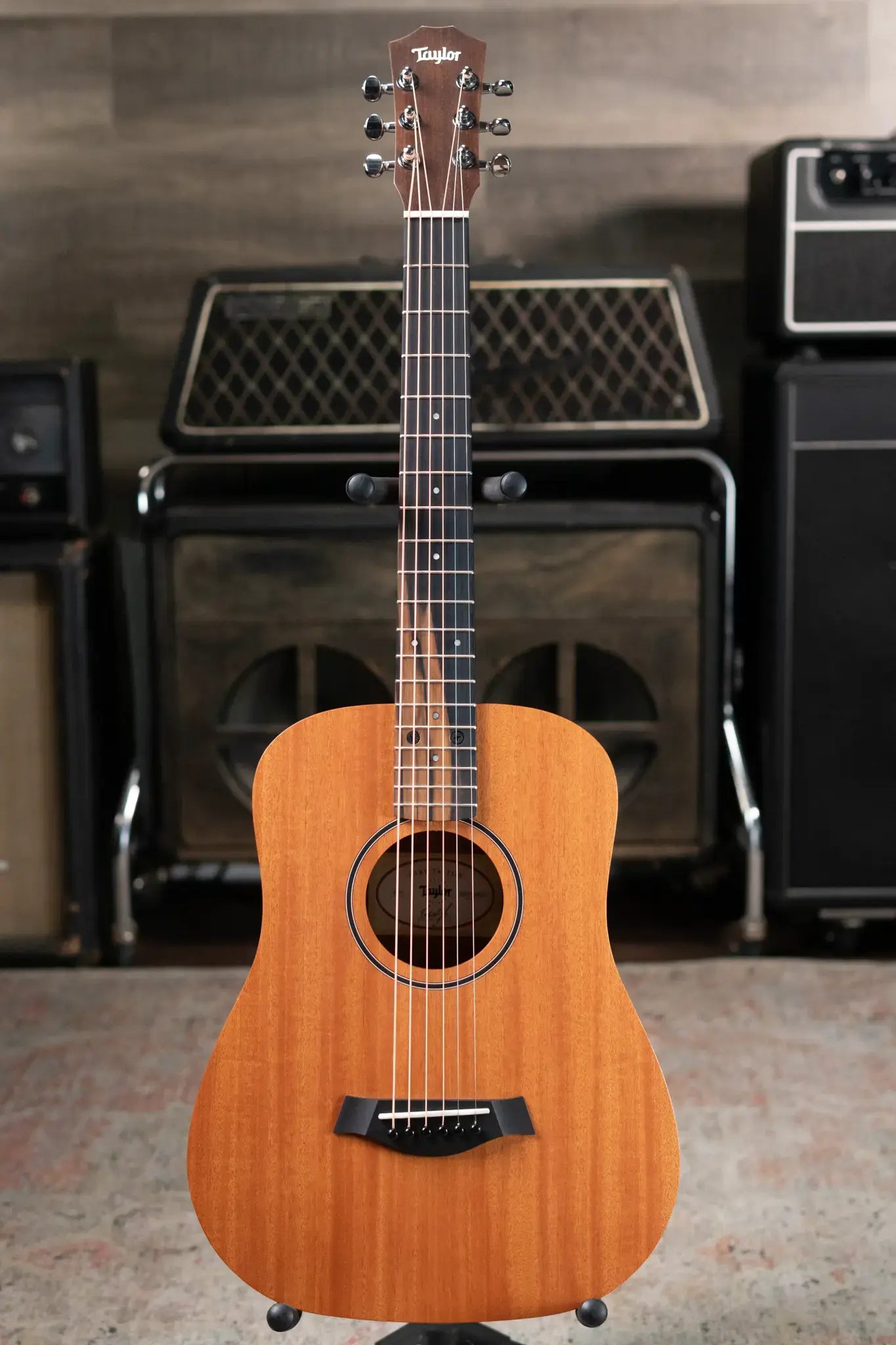 Taylor BT2 Mahogany Acoustic Guitar with Gig Bag