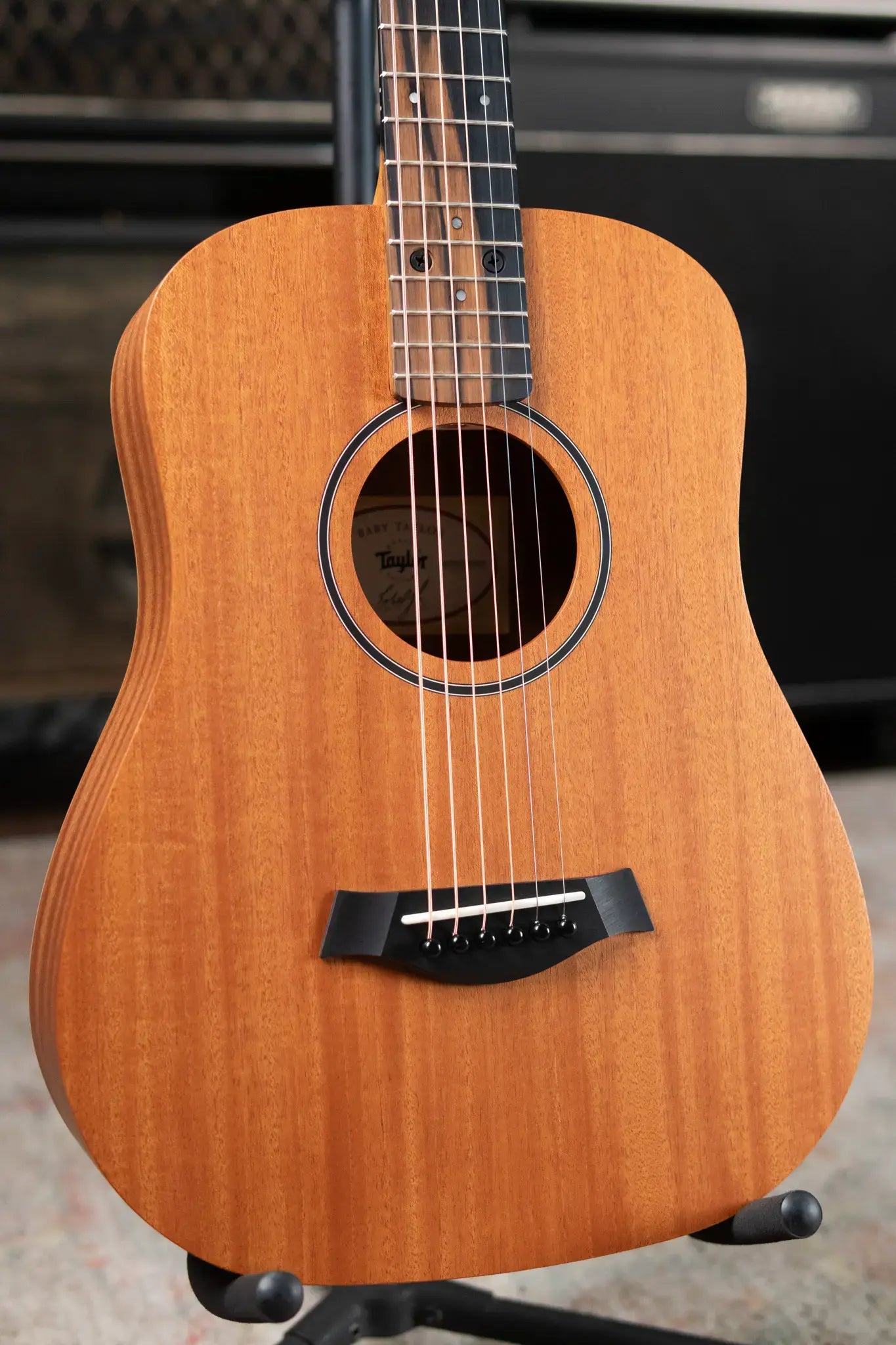 Taylor BT2 Mahogany Acoustic Guitar with Gig Bag