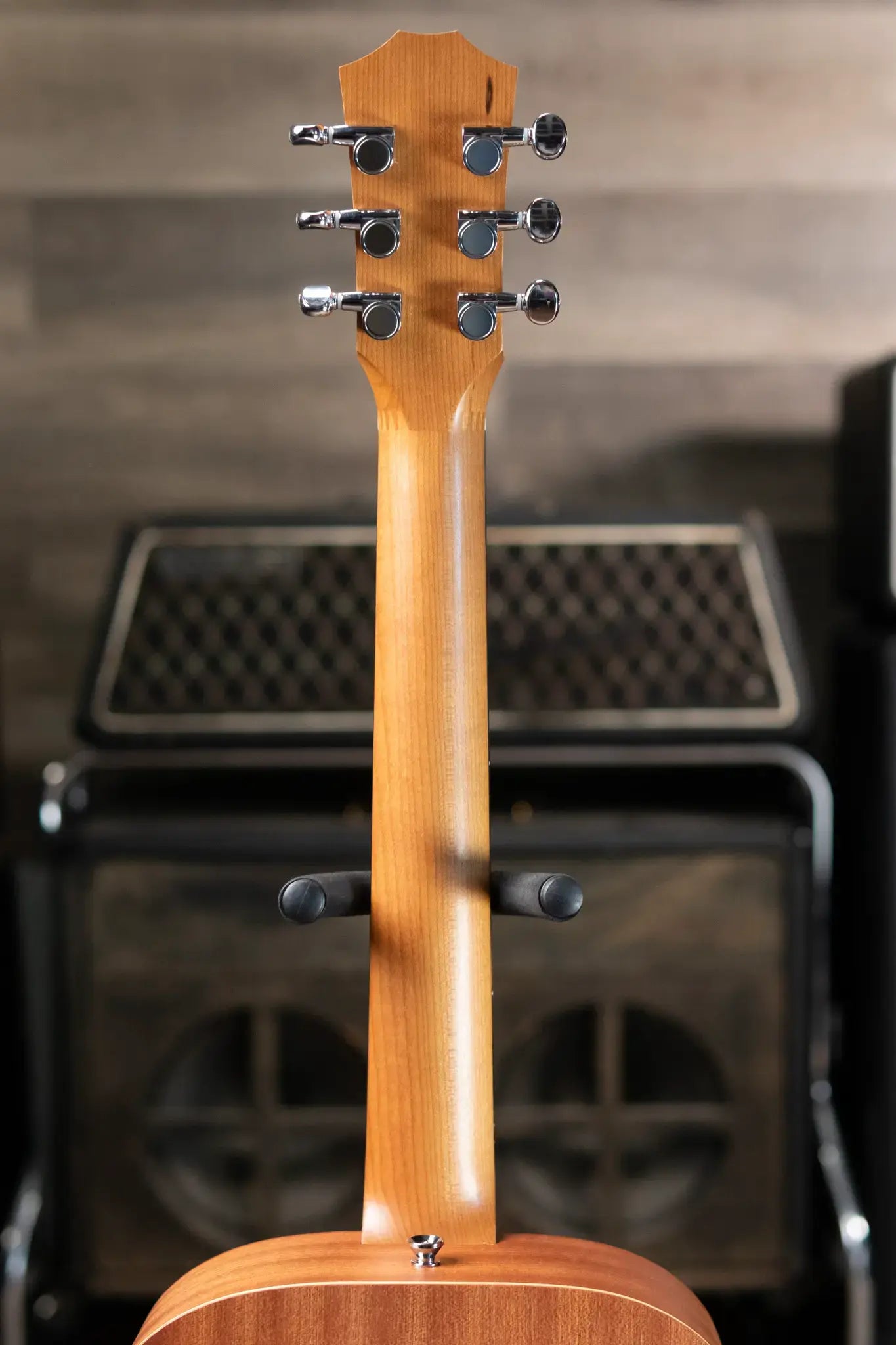 Taylor BT2 Mahogany Acoustic Guitar with Gig Bag
