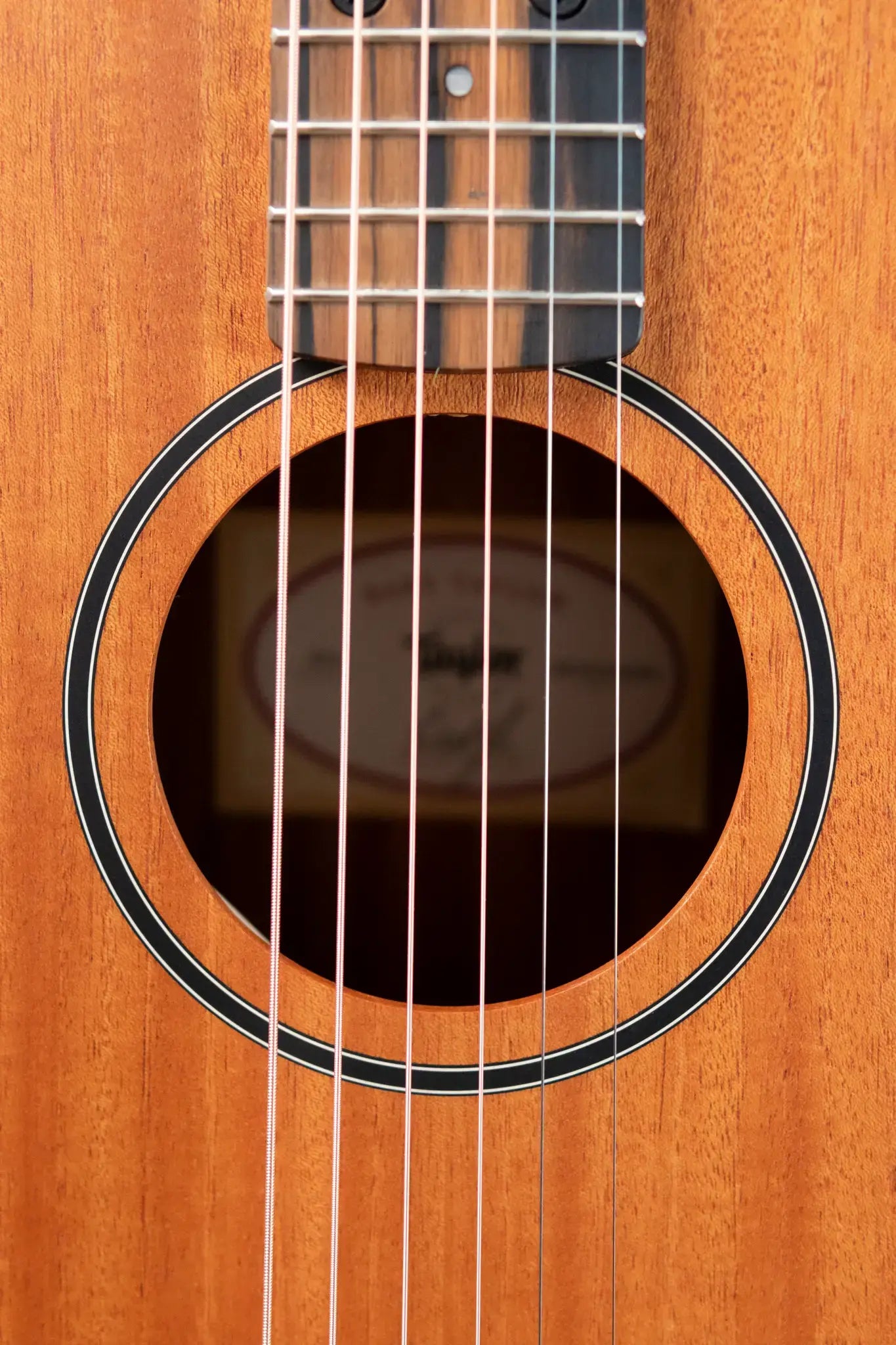 Taylor BT2 Mahogany Acoustic Guitar with Gig Bag