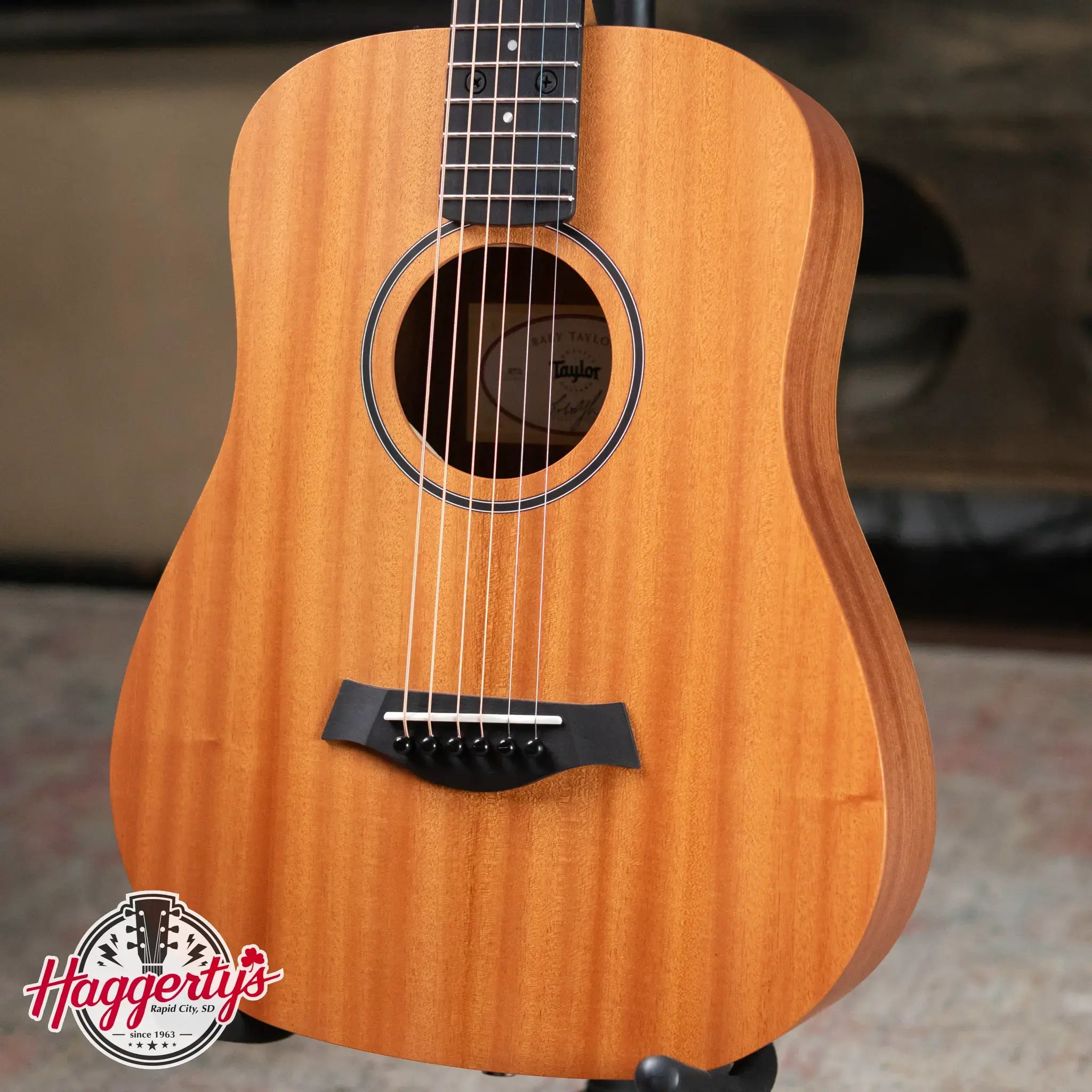 Taylor BT2 Mahogany Acoustic Guitar with Gig Bag