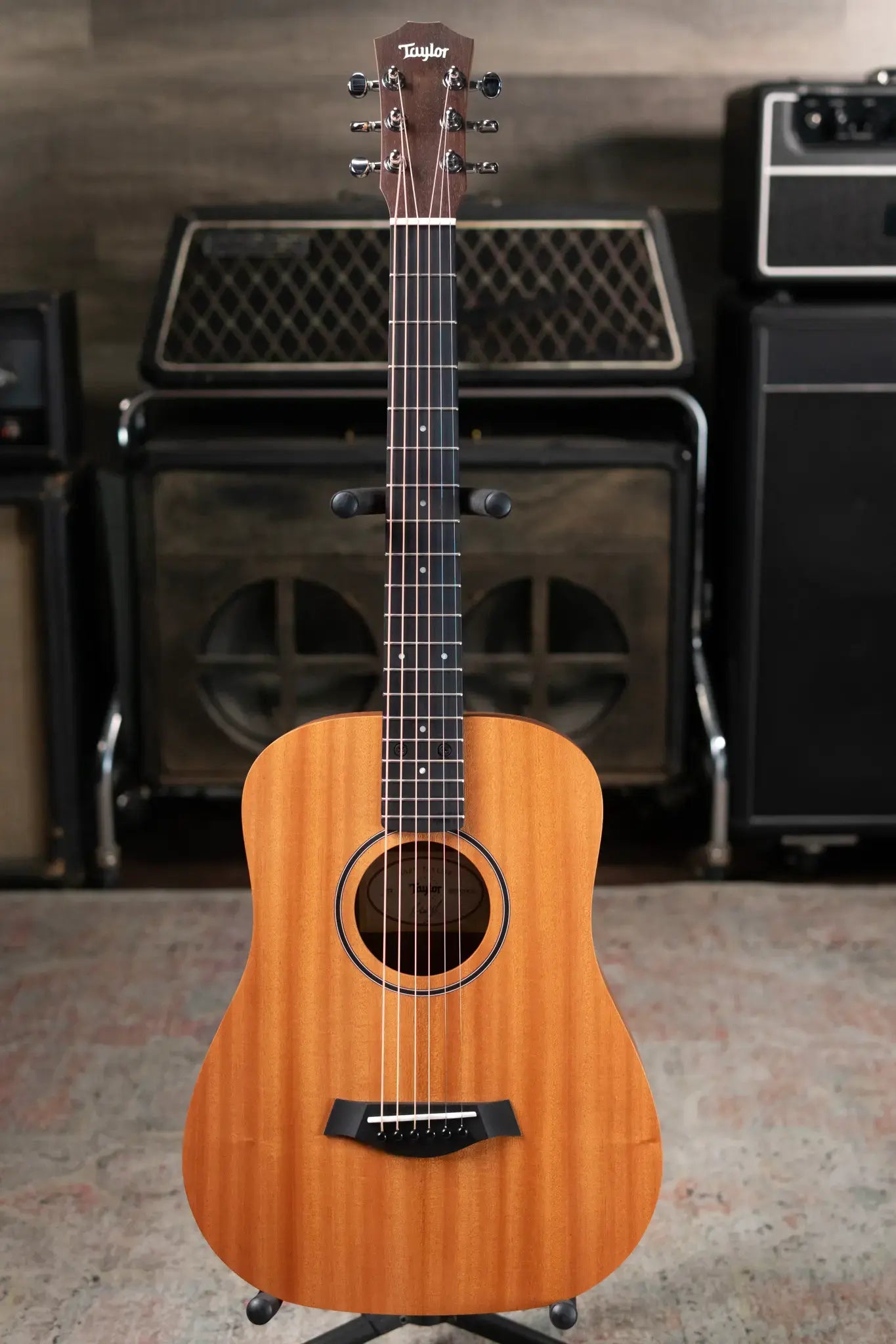 Taylor BT2 Mahogany Acoustic Guitar with Gig Bag