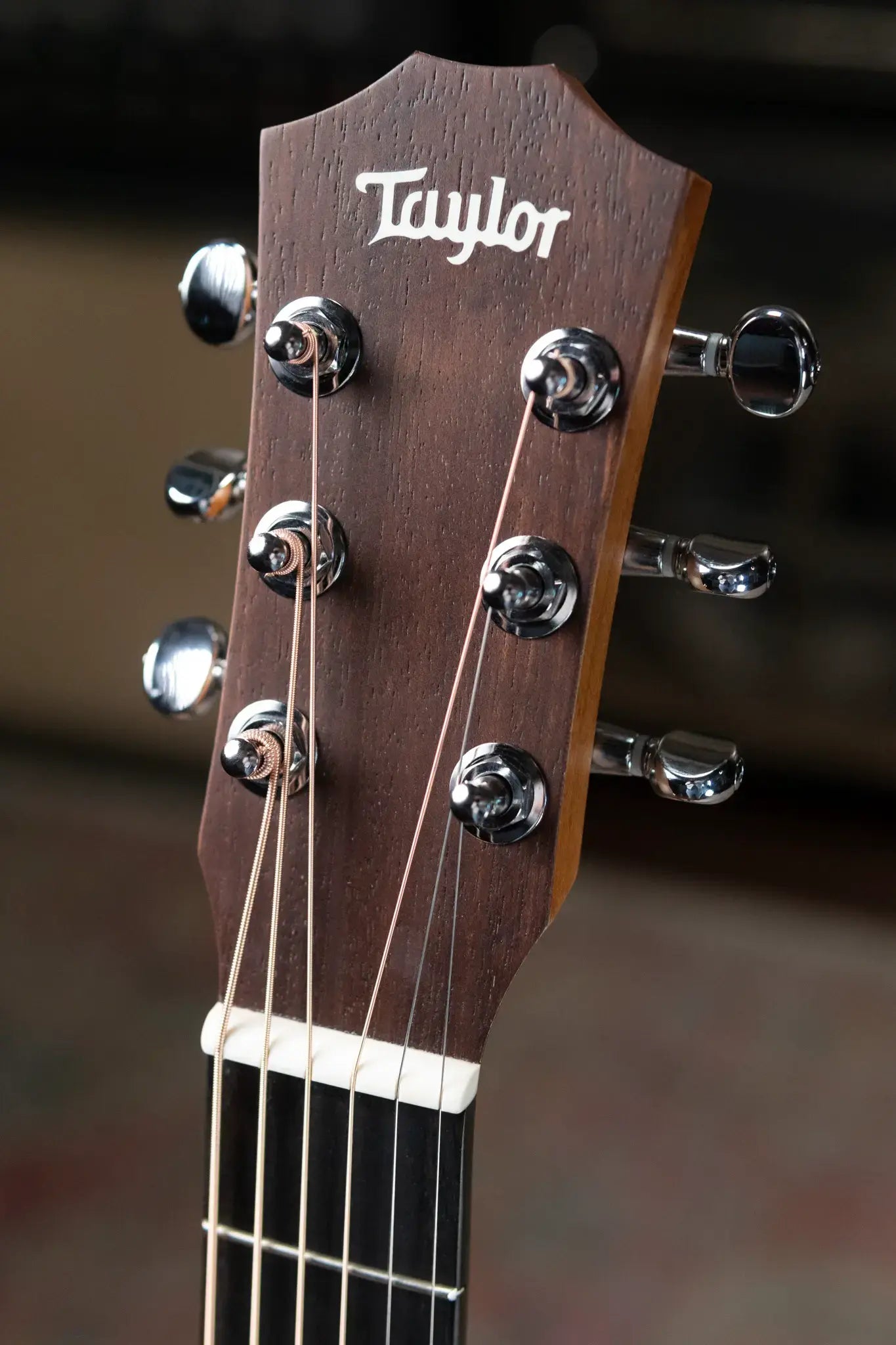 Taylor BT2 Mahogany Acoustic Guitar with Gig Bag