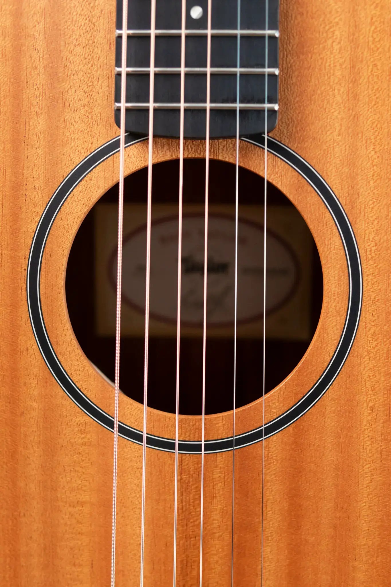Taylor BT2 Mahogany Acoustic Guitar with Gig Bag