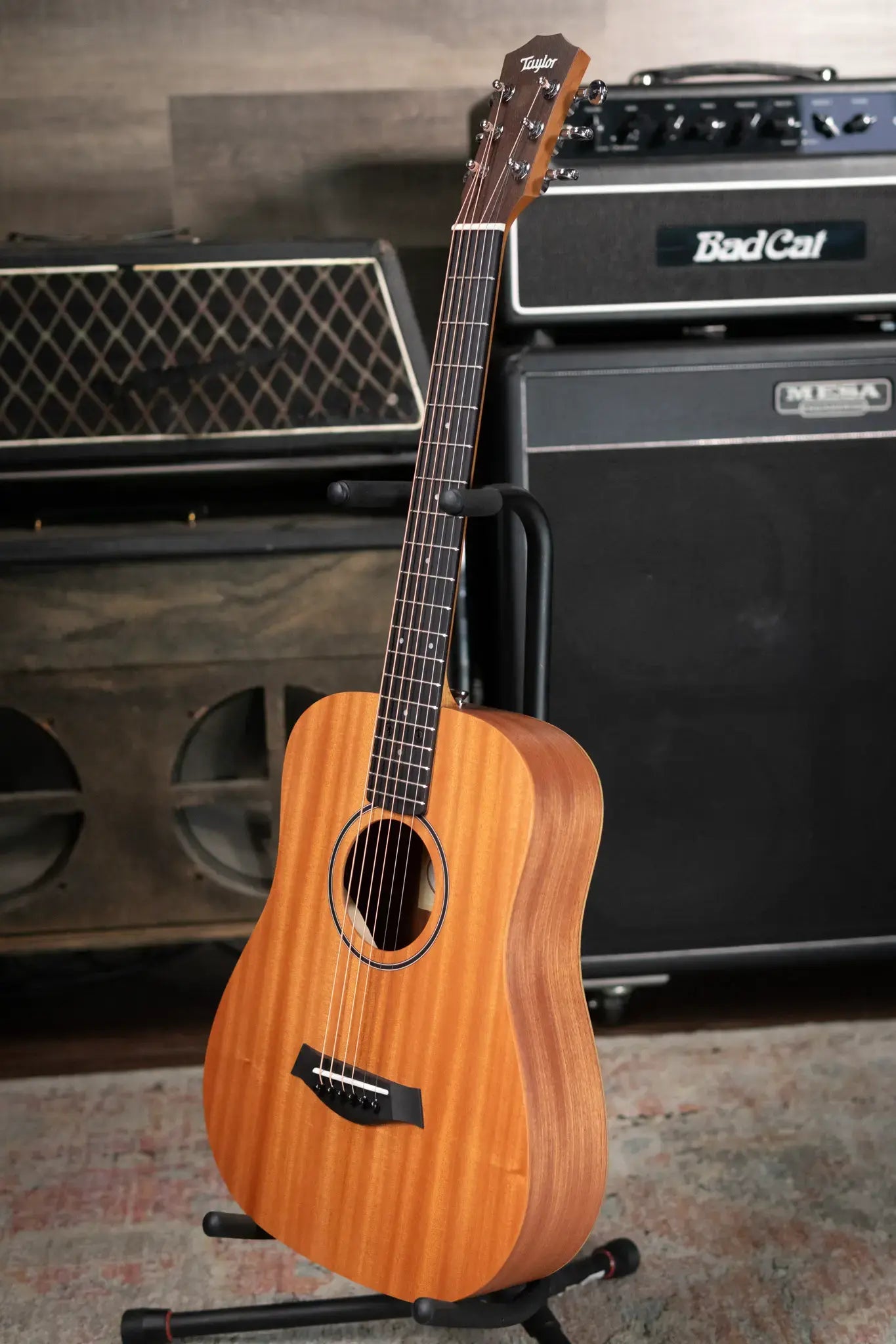 Taylor BT2 Mahogany Acoustic Guitar with Gig Bag
