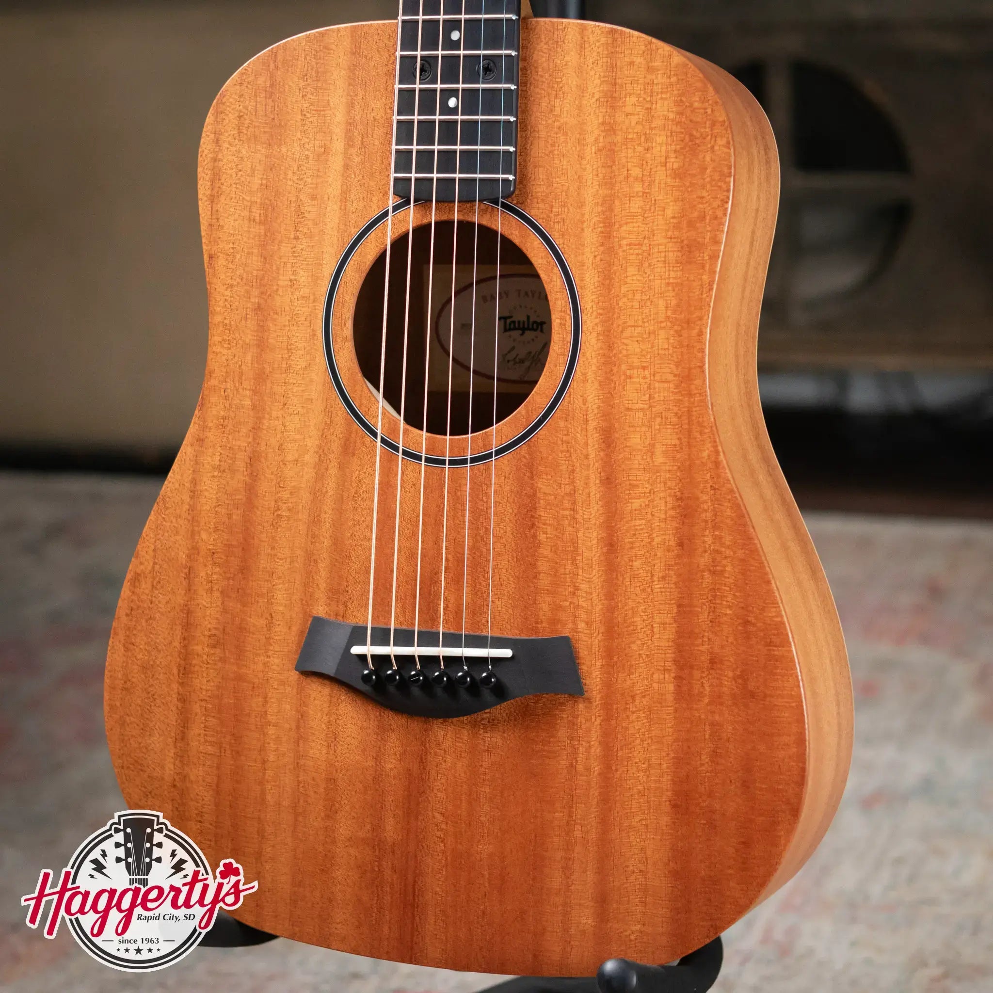 Taylor BT2 Mahogany Acoustic Guitar with Gig Bag