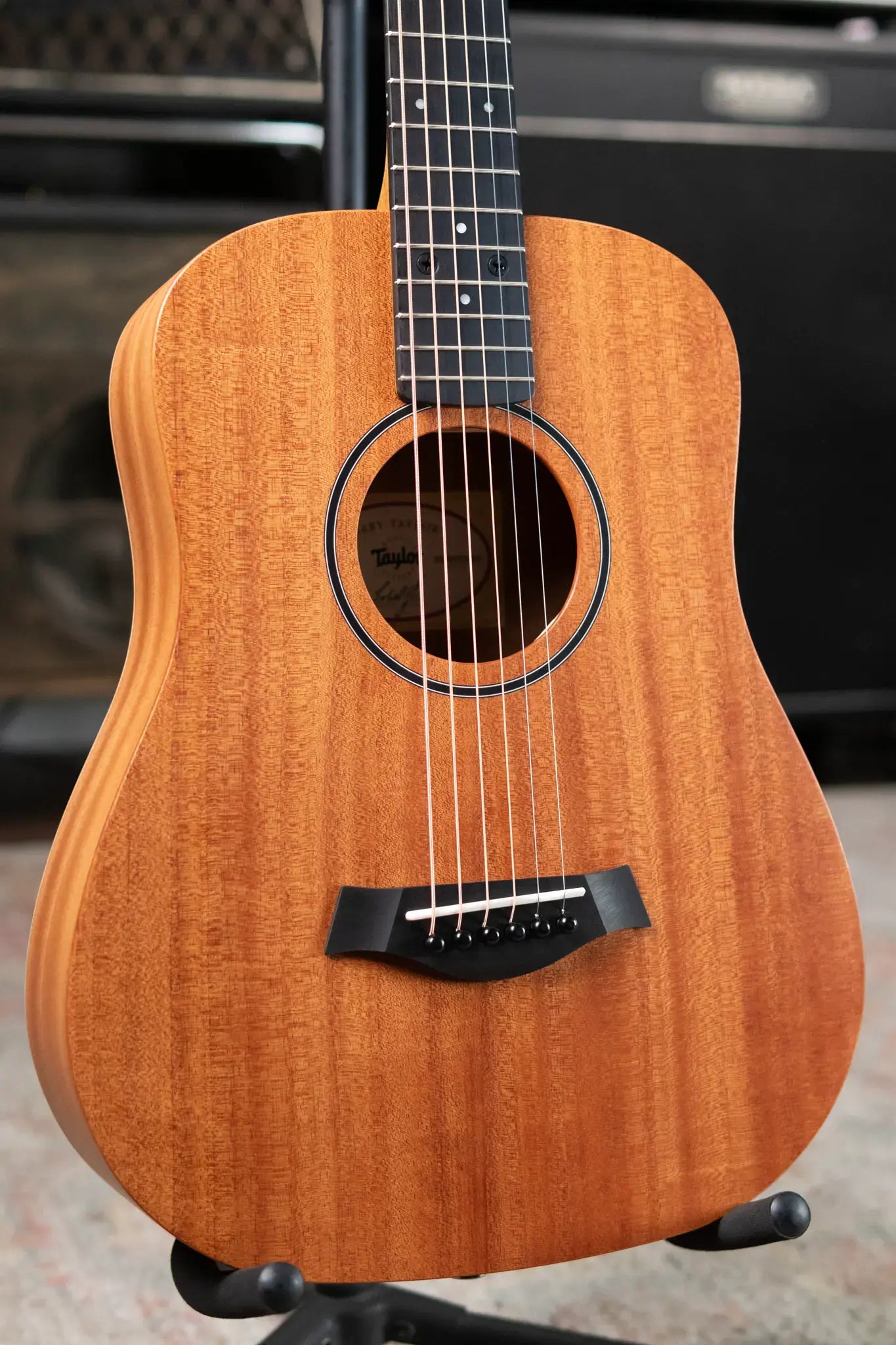 Taylor BT2 Mahogany Acoustic Guitar with Gig Bag