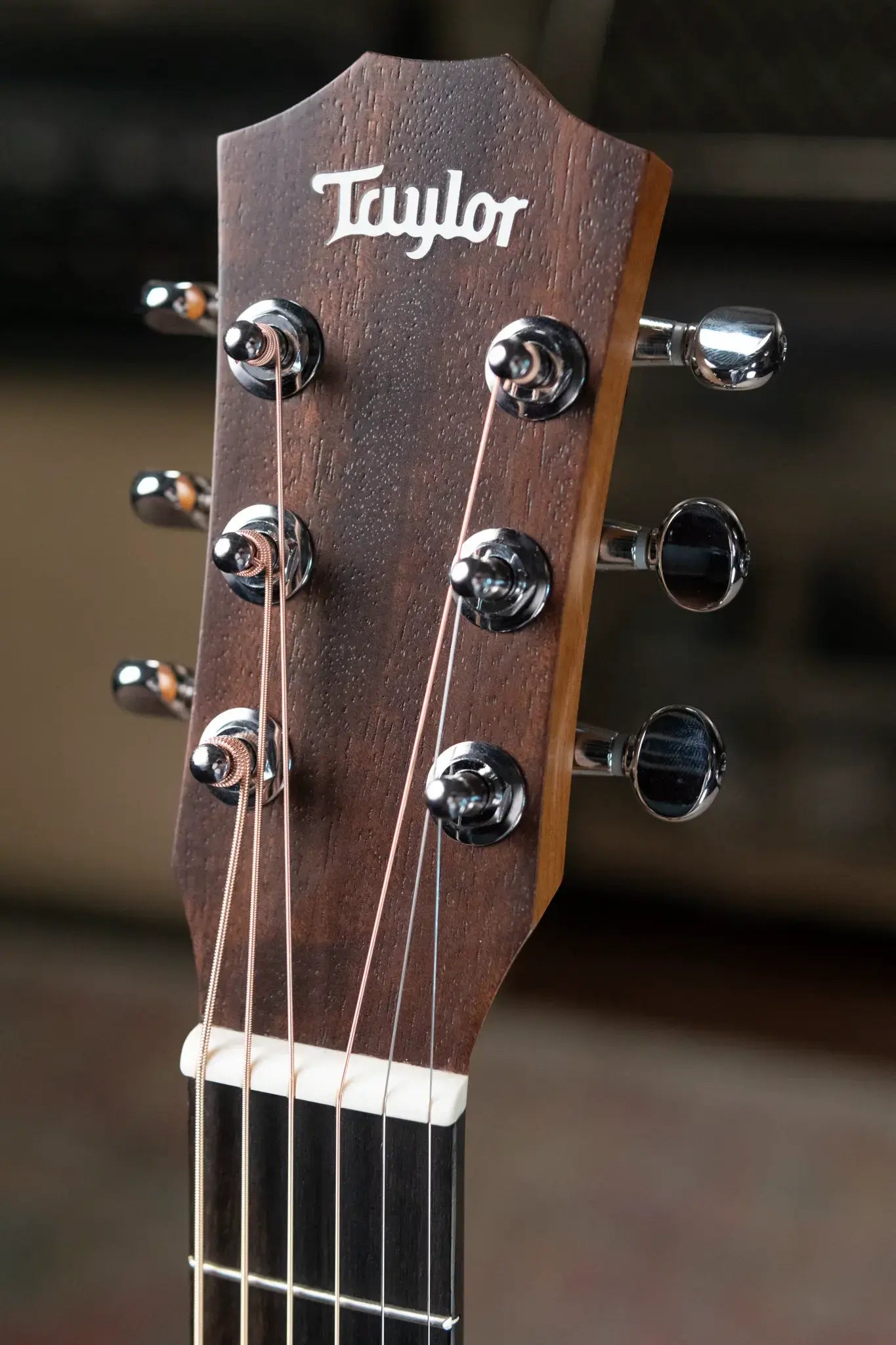 Taylor BT2 Mahogany Acoustic Guitar with Gig Bag