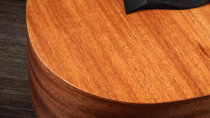 Taylor BT2 Mahogany Acoustic Guitar with Gig Bag