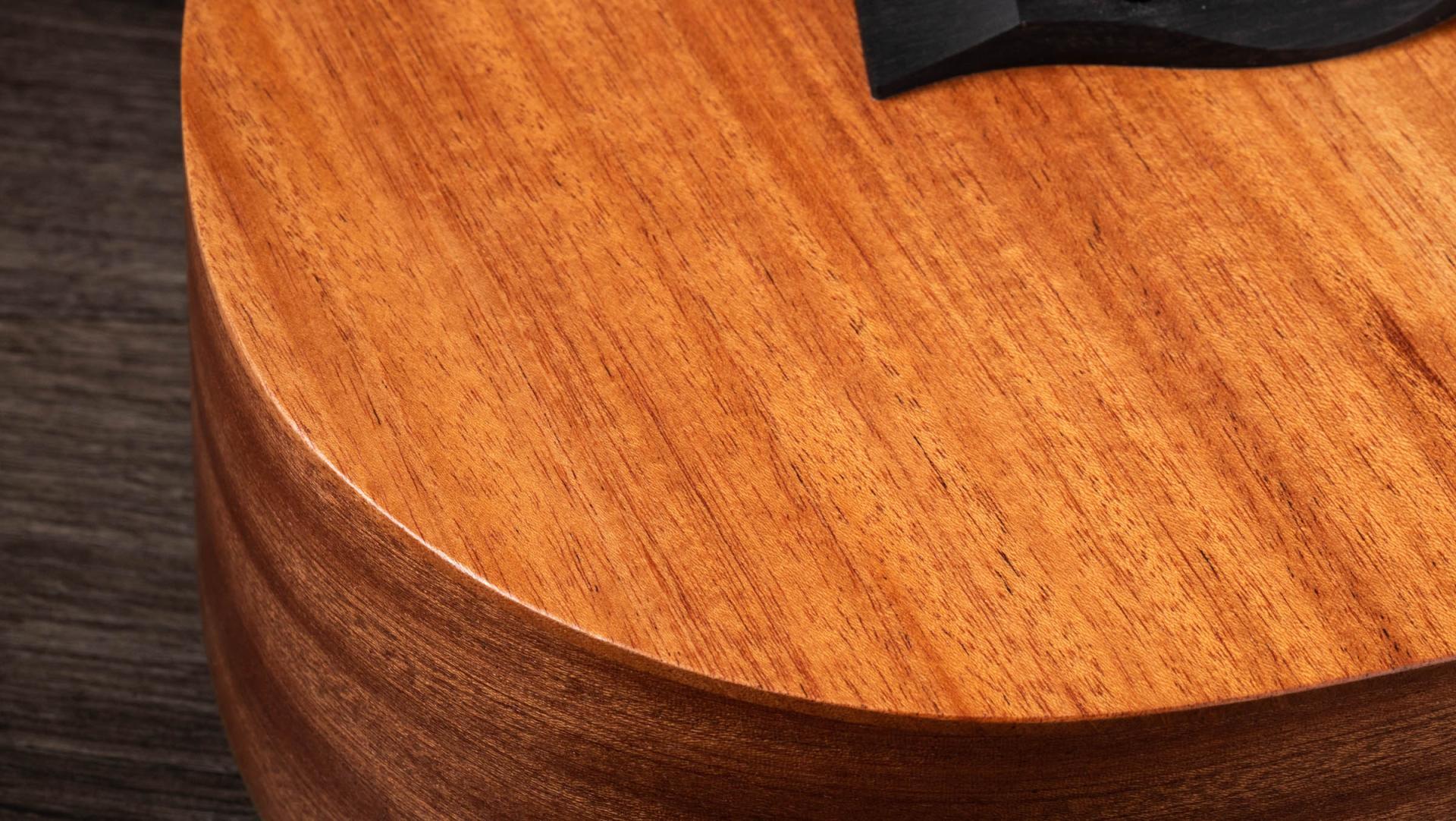 Taylor BT2 Mahogany Acoustic Guitar with Gig Bag