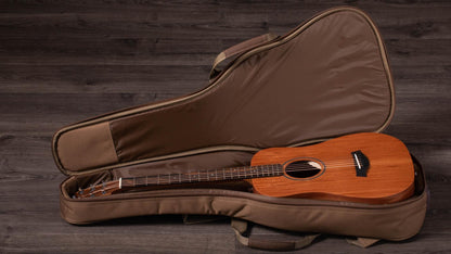 Taylor BT2 Mahogany Acoustic Guitar with Gig Bag
