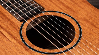 Taylor BT2 Mahogany Acoustic Guitar with Gig Bag