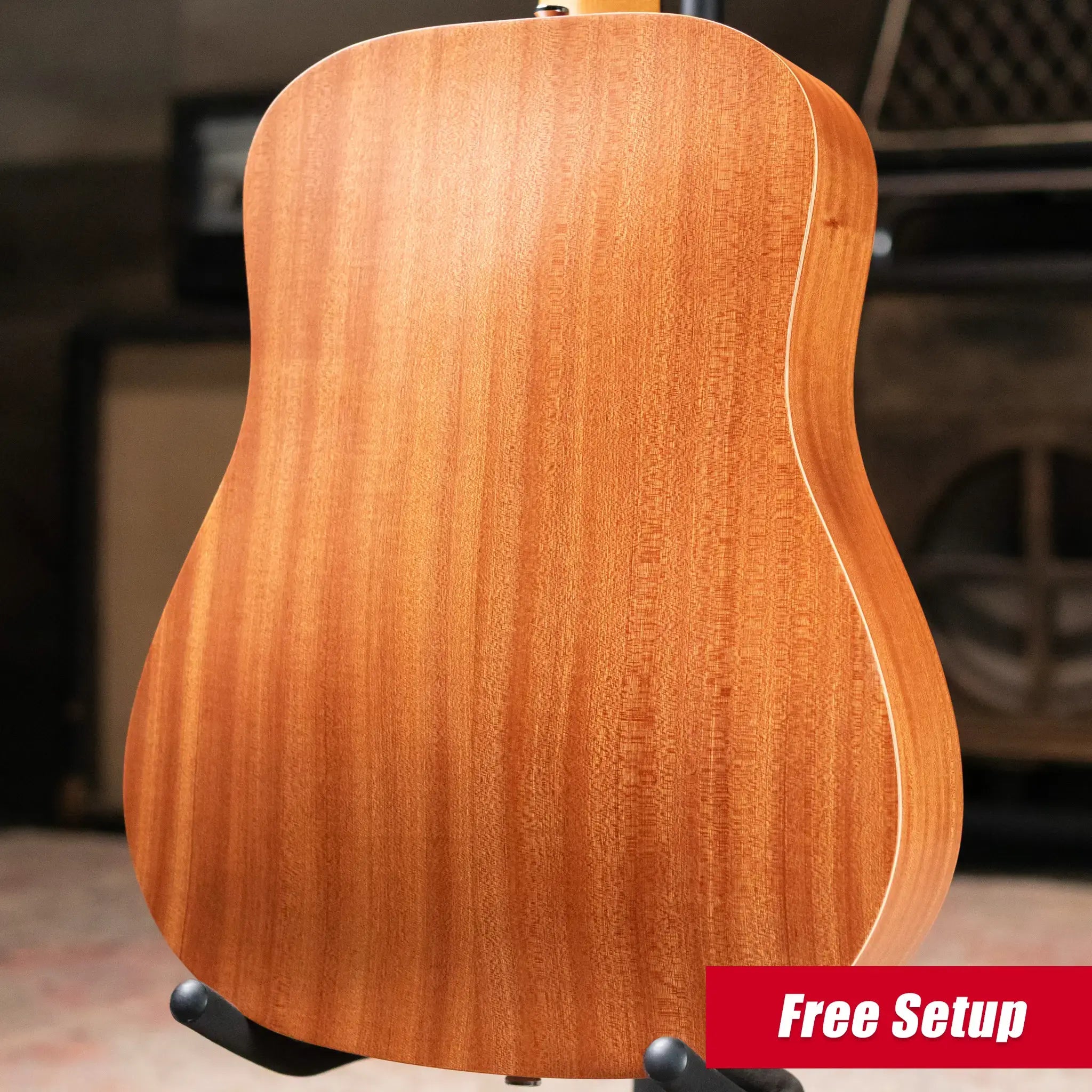 Taylor BT2 Mahogany Acoustic Guitar with Gig Bag