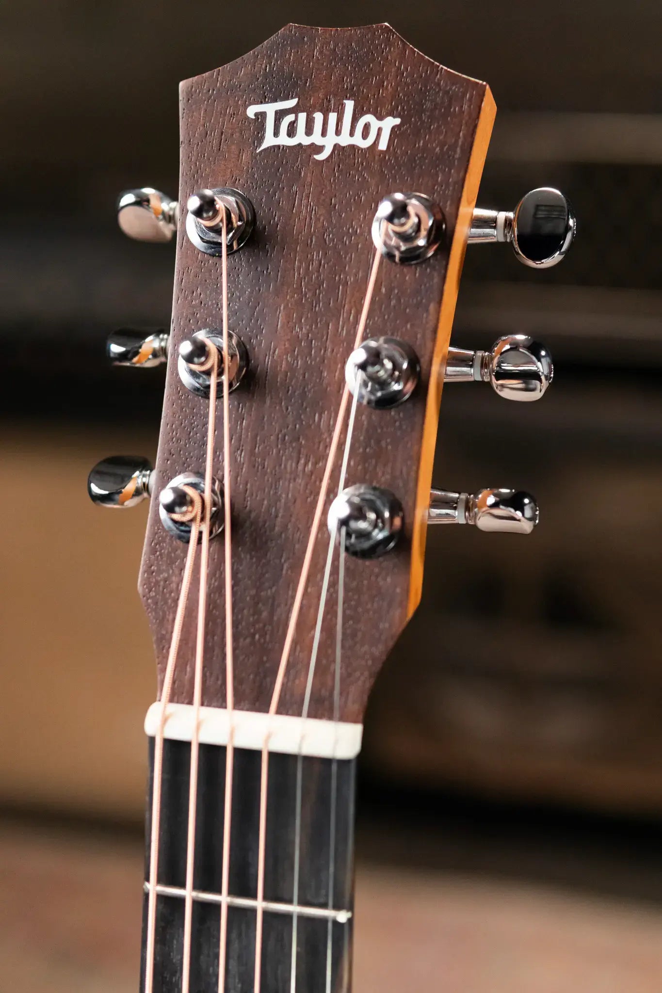 Taylor BT2 Mahogany Acoustic Guitar with Gig Bag