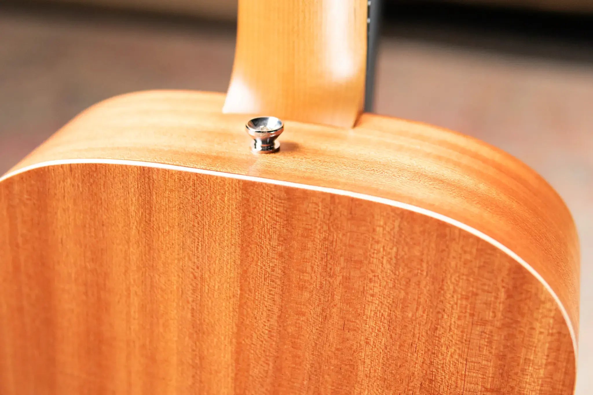 Taylor BT2 Mahogany Acoustic Guitar with Gig Bag