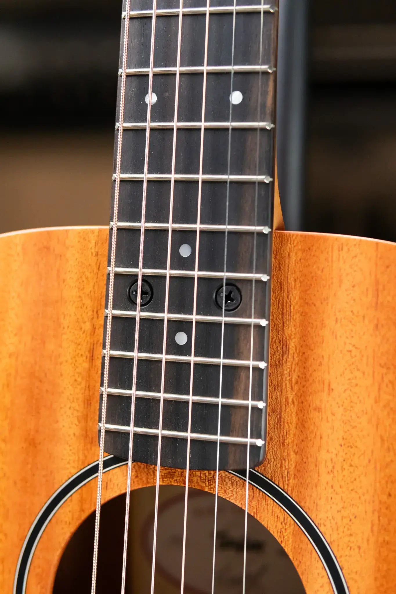 Taylor BT2 Mahogany Acoustic Guitar with Gig Bag