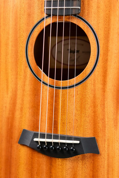 Taylor BT2 Mahogany Acoustic Guitar with Gig Bag