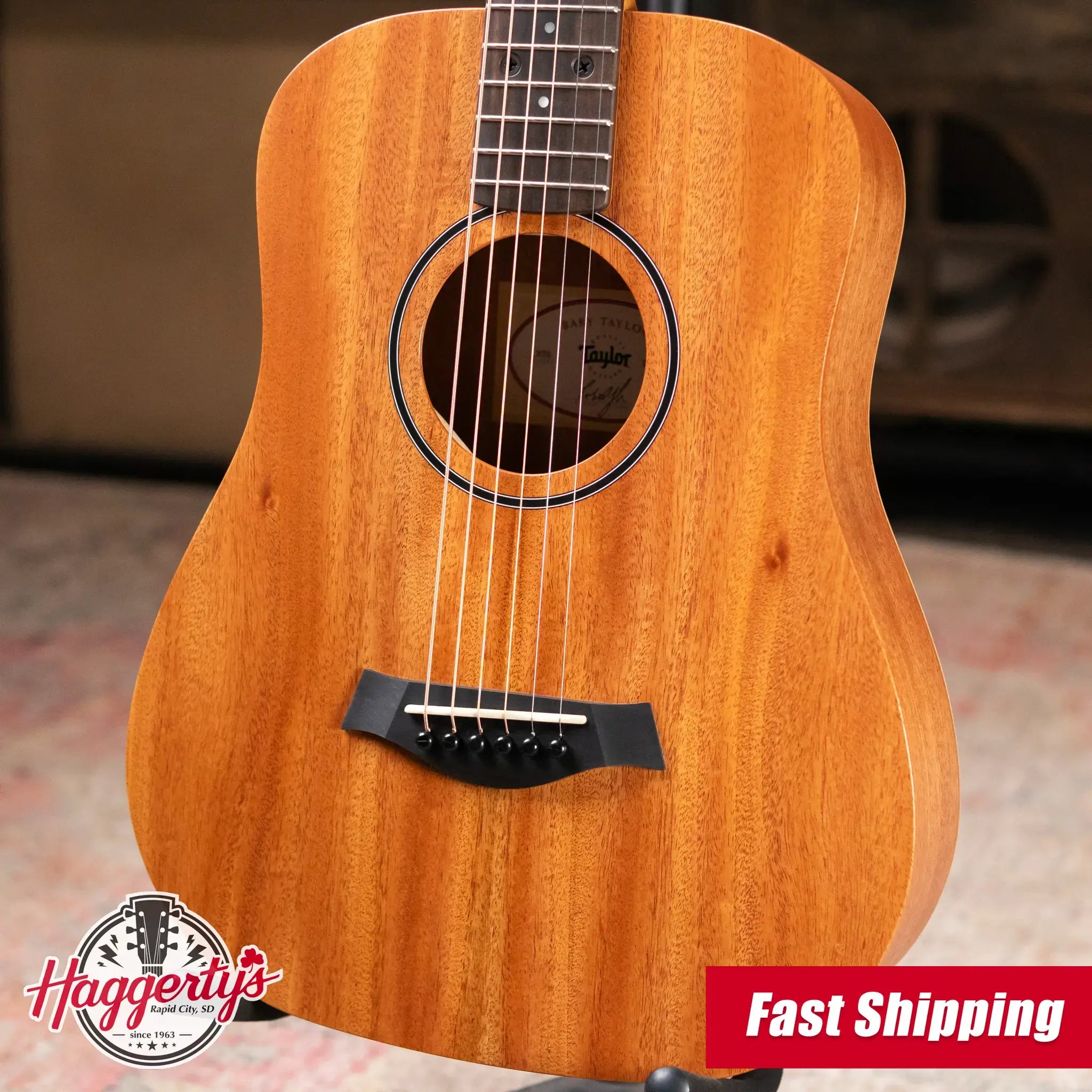 Taylor BT2 Mahogany Acoustic Guitar with Gig Bag