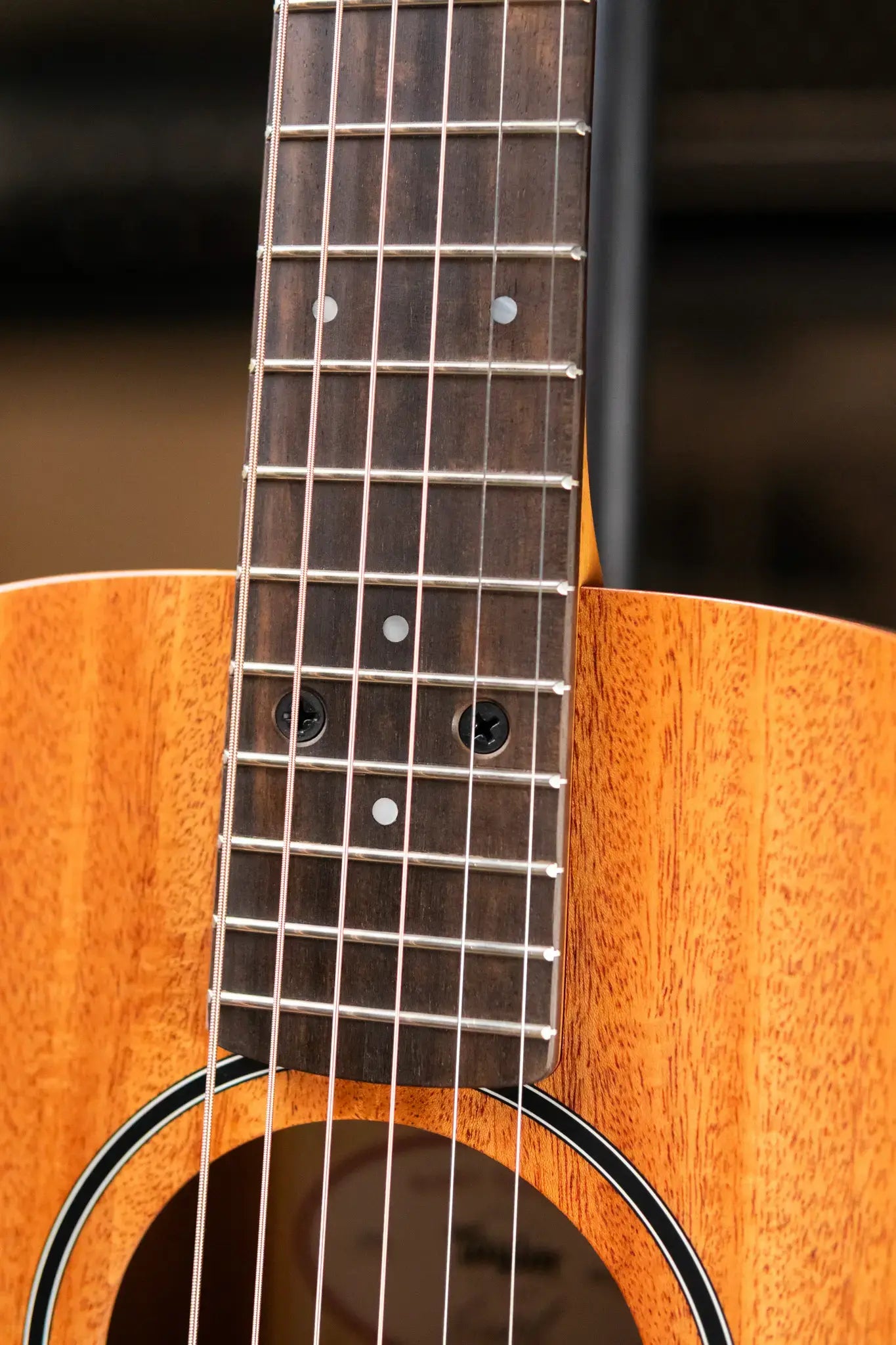 Taylor BT2 Mahogany Acoustic Guitar with Gig Bag