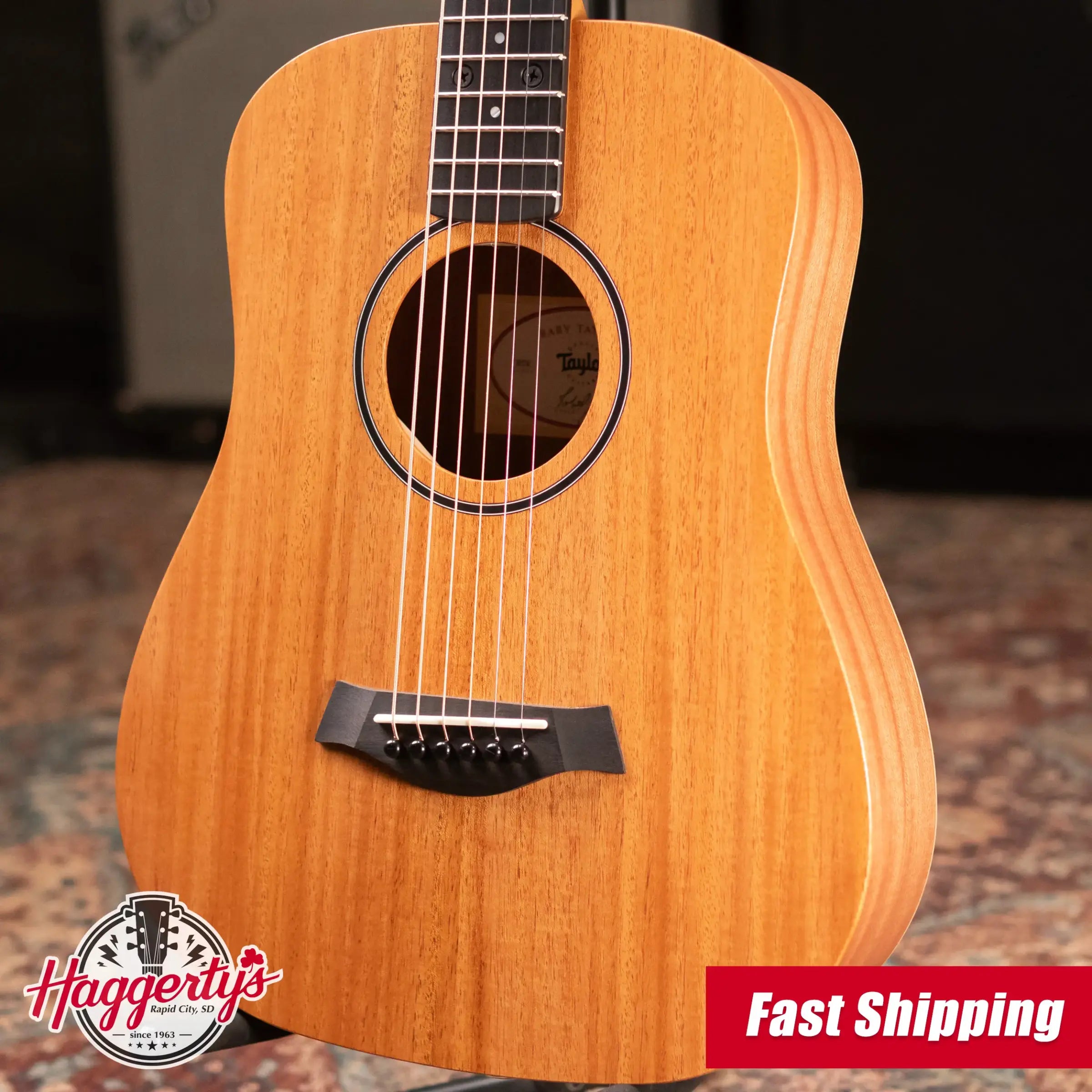 Taylor BT2 Mahogany Acoustic Guitar with Gig Bag