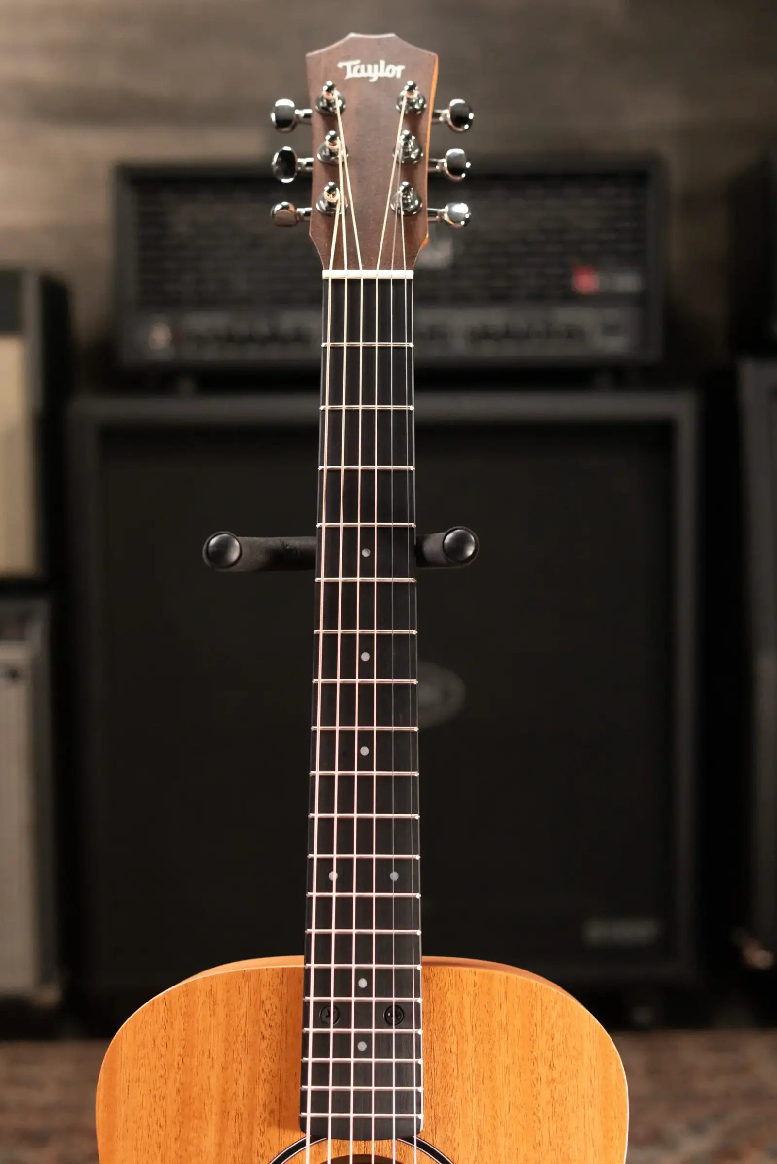 Taylor BT2 Mahogany Acoustic Guitar with Gig Bag