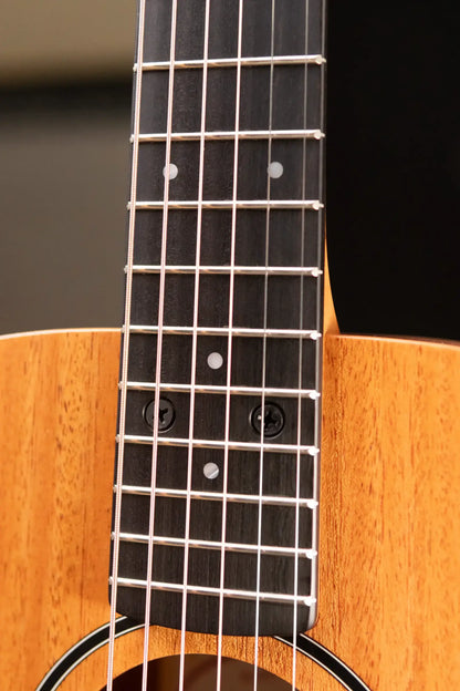 Taylor BT2 Mahogany Acoustic Guitar with Gig Bag
