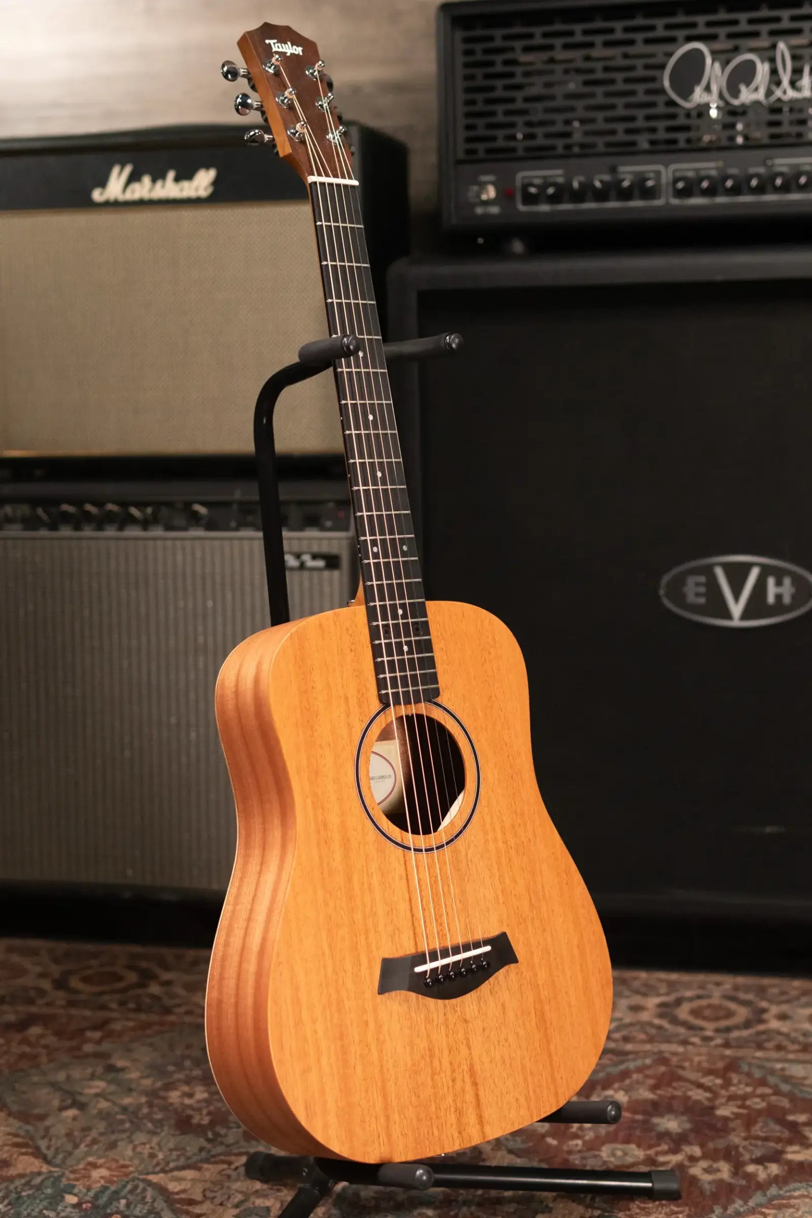 Taylor BT2 Mahogany Acoustic Guitar with Gig Bag