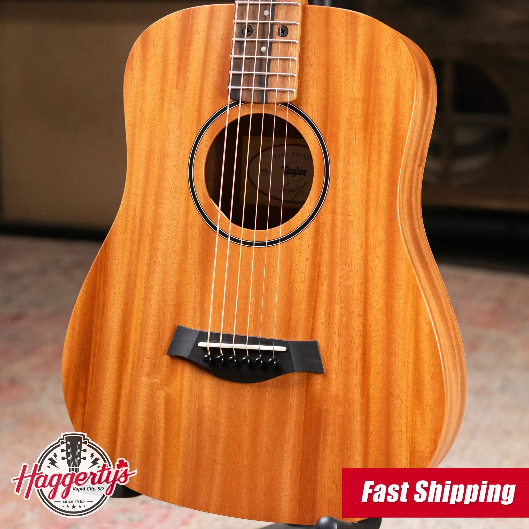 Taylor BT2 Mahogany Acoustic Guitar with Gig Bag