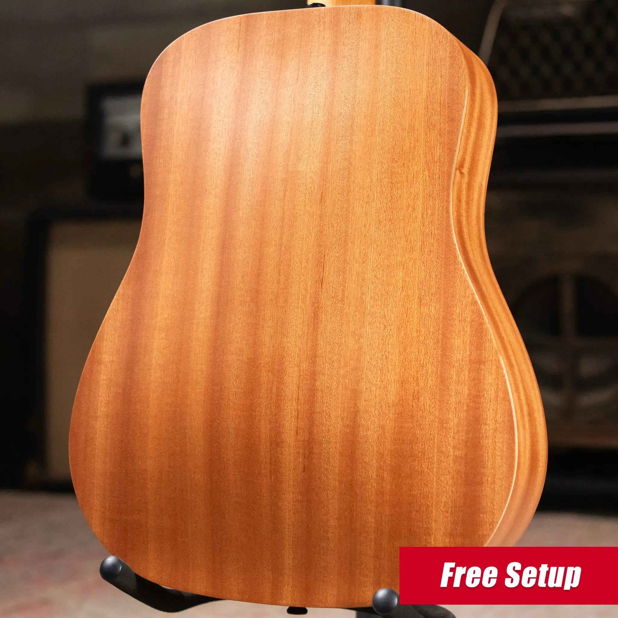 Taylor BT2 Mahogany Acoustic Guitar with Gig Bag