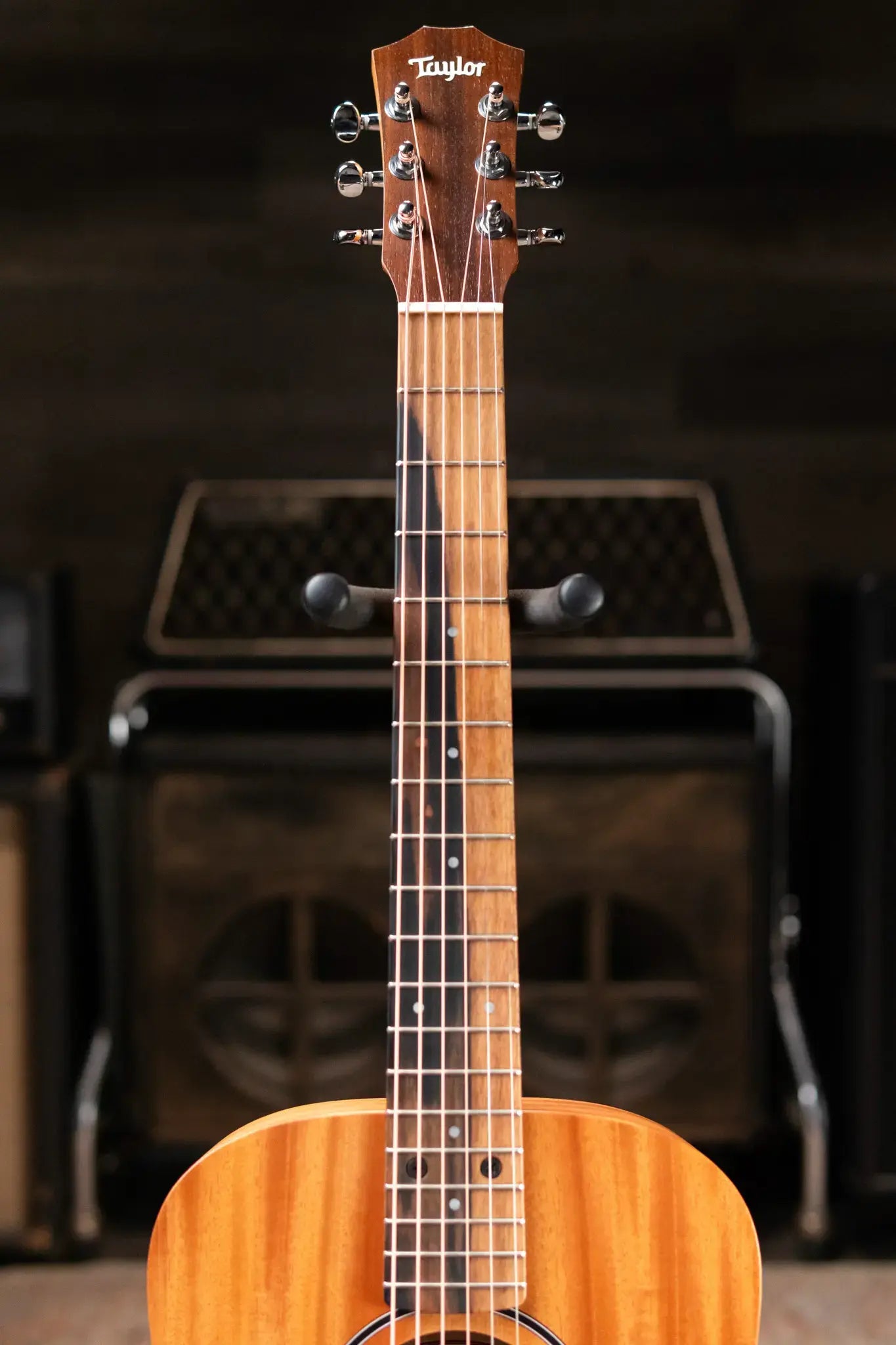 Taylor BT2 Mahogany Acoustic Guitar with Gig Bag