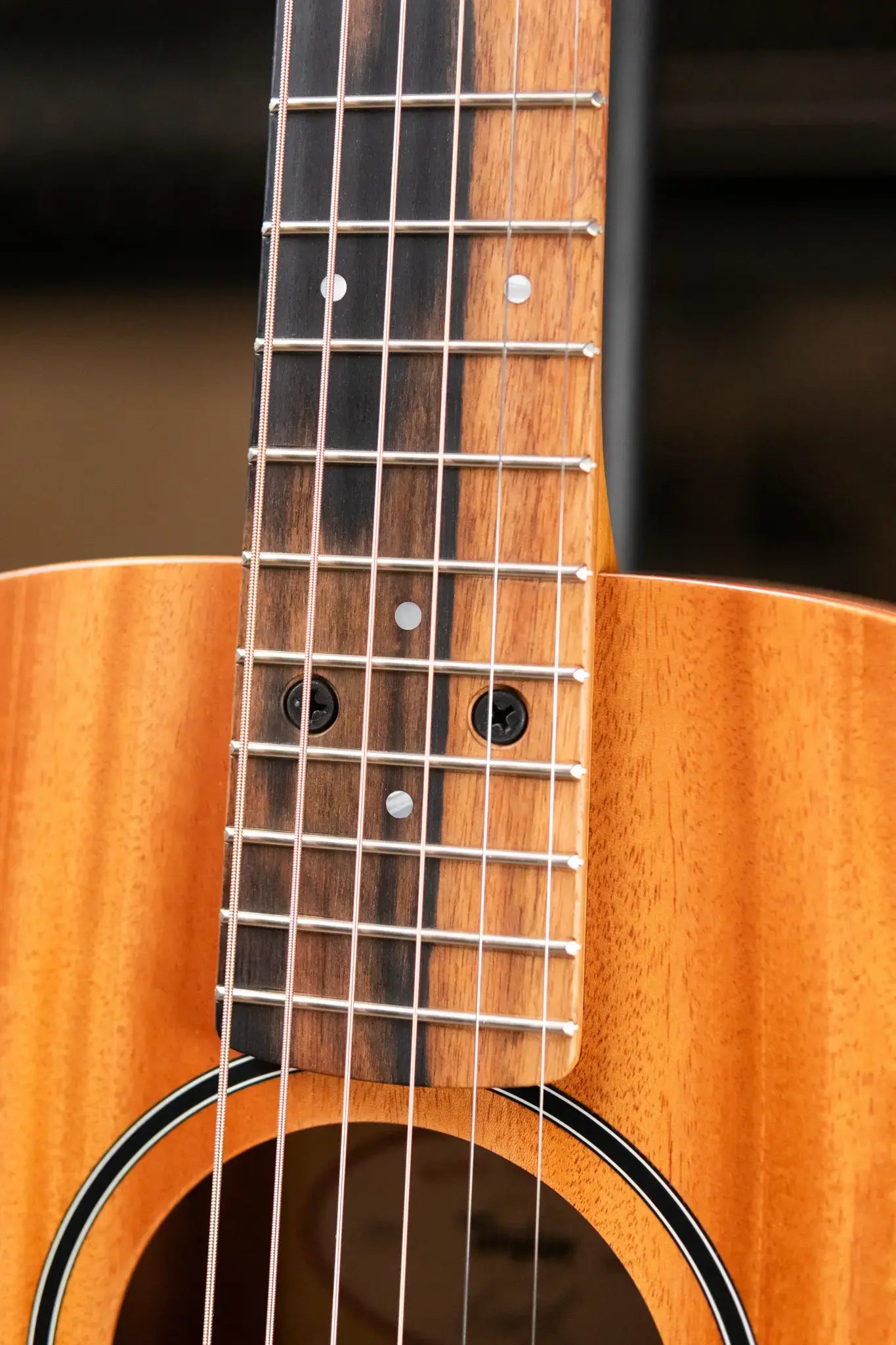 Taylor BT2 Mahogany Acoustic Guitar with Gig Bag