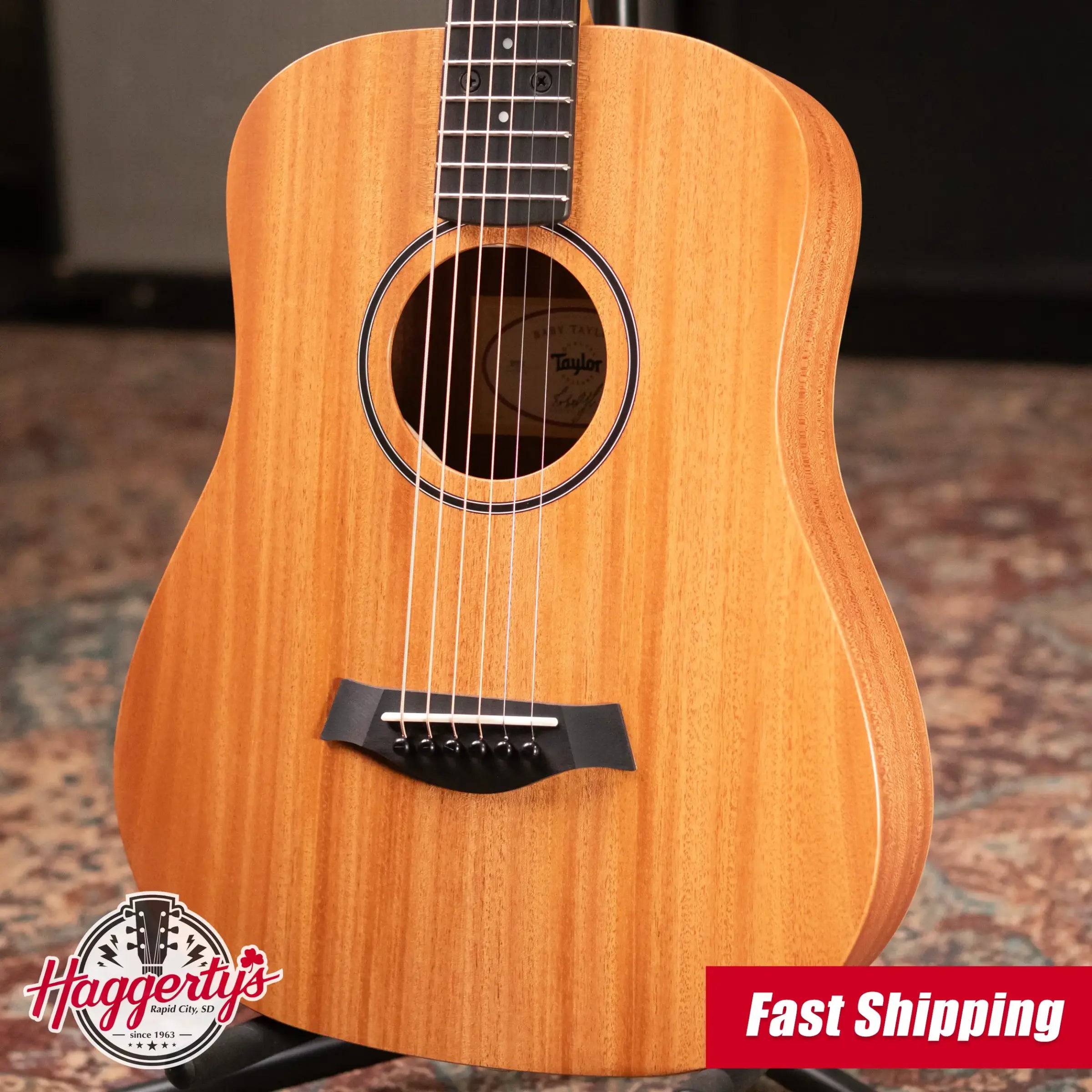 Taylor BT2 Mahogany Acoustic Guitar with Gig Bag