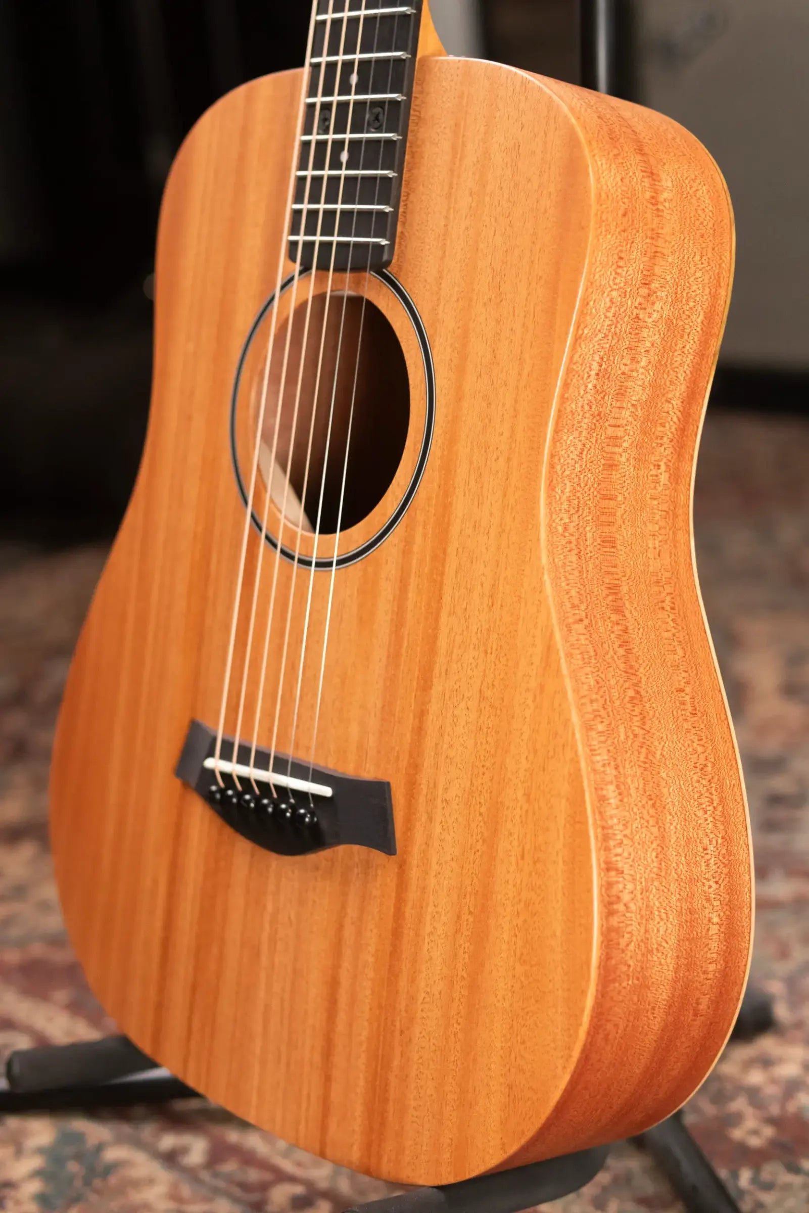 Taylor BT2 Mahogany Acoustic Guitar with Gig Bag