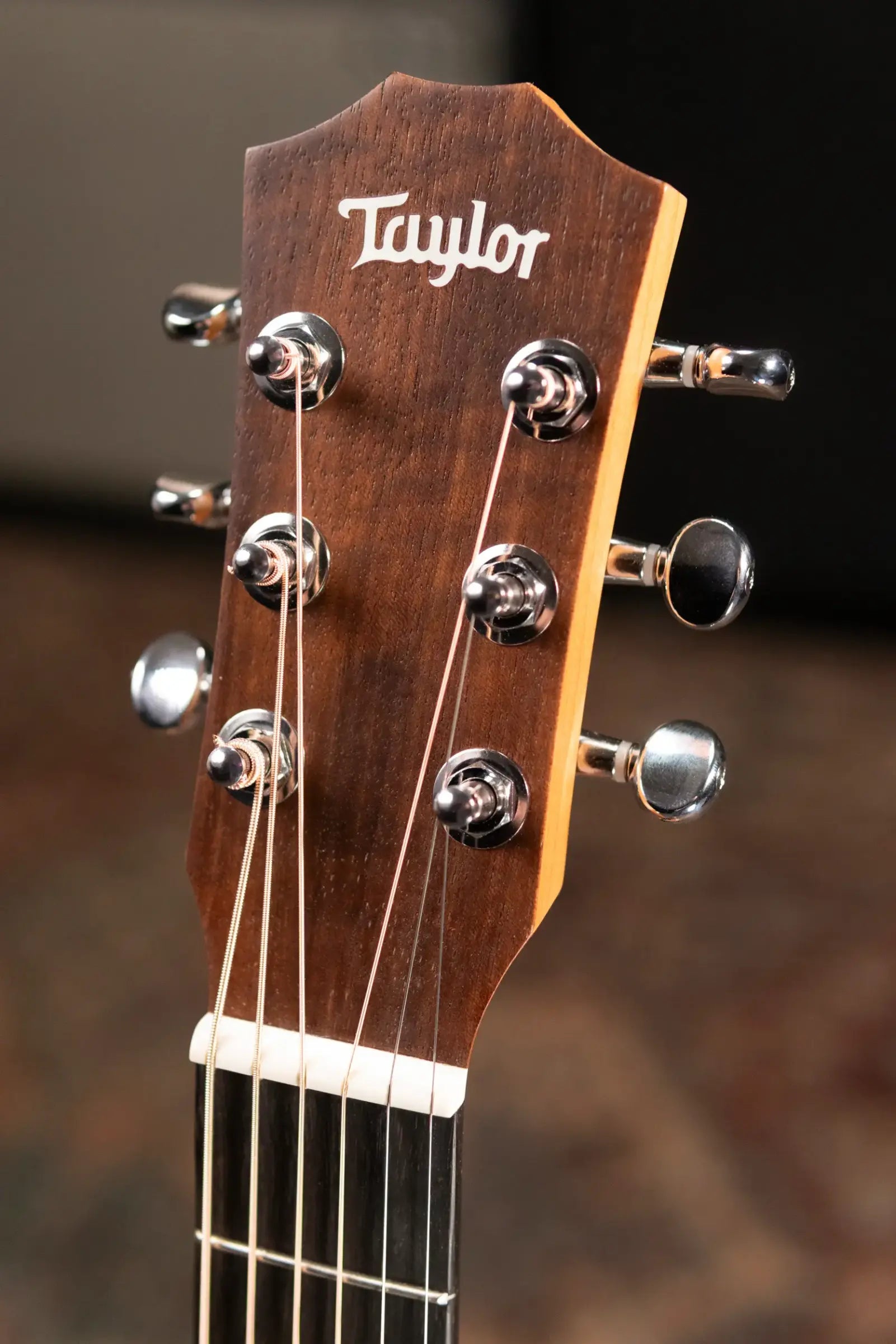 Taylor BT2 Mahogany Acoustic Guitar with Gig Bag