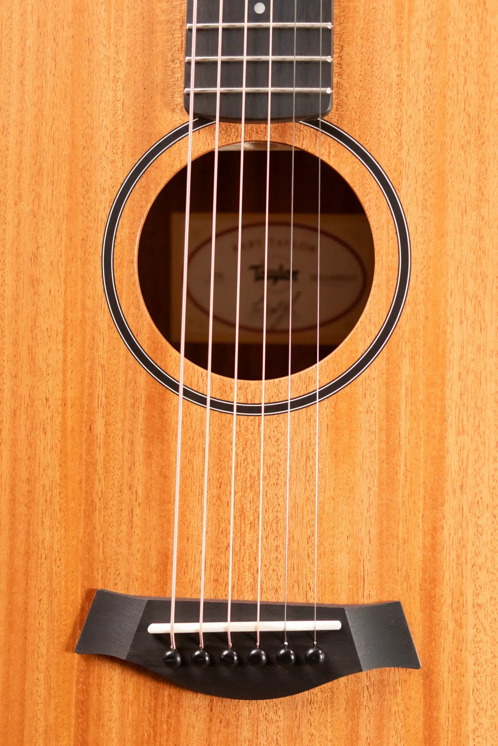 Taylor BT2 Mahogany Acoustic Guitar with Gig Bag