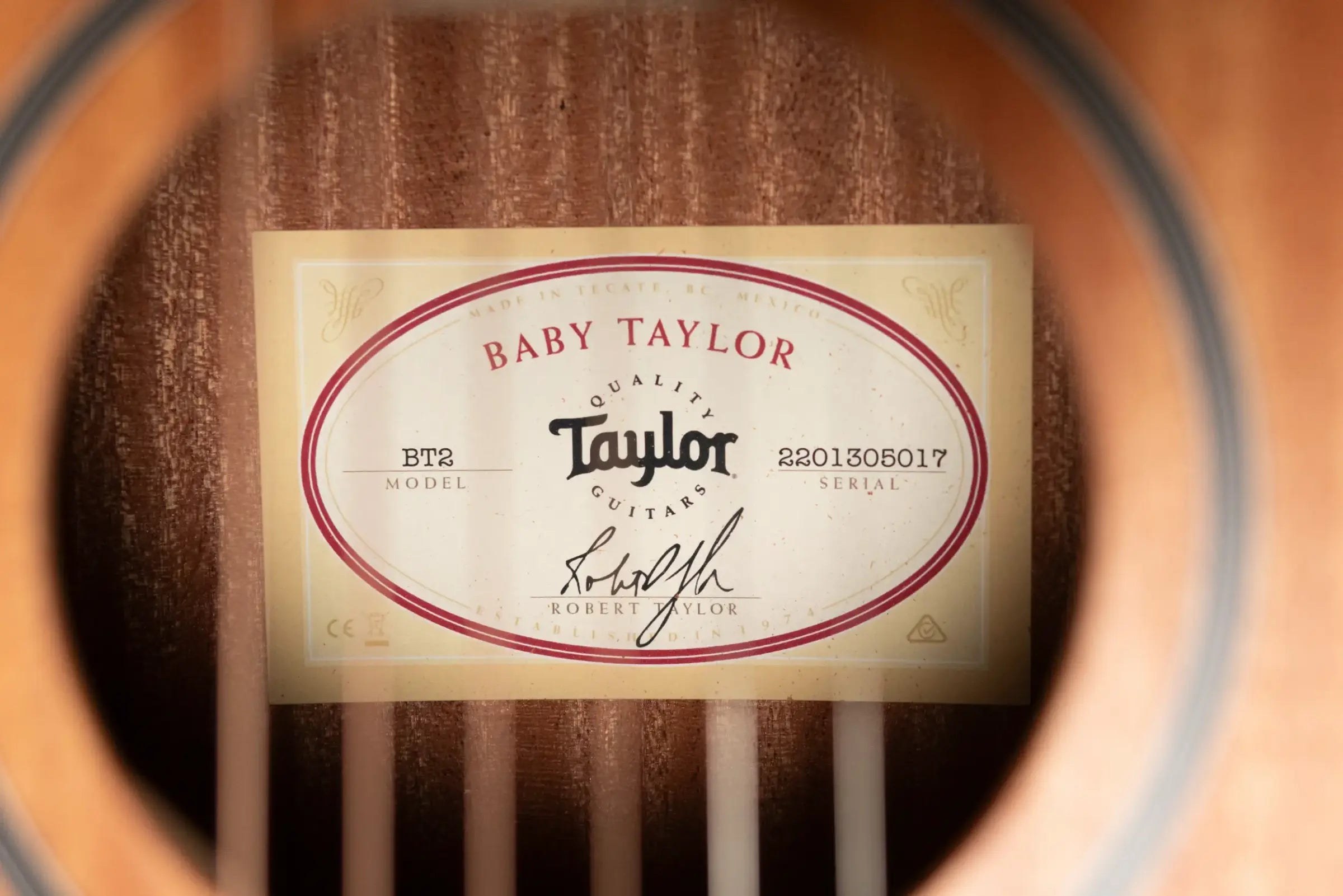 Taylor BT2 Mahogany Acoustic Guitar with Gig Bag