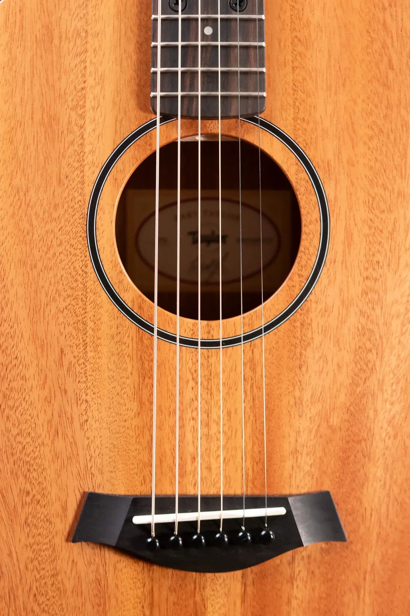 Taylor BT2 Mahogany Acoustic Guitar with Gig Bag