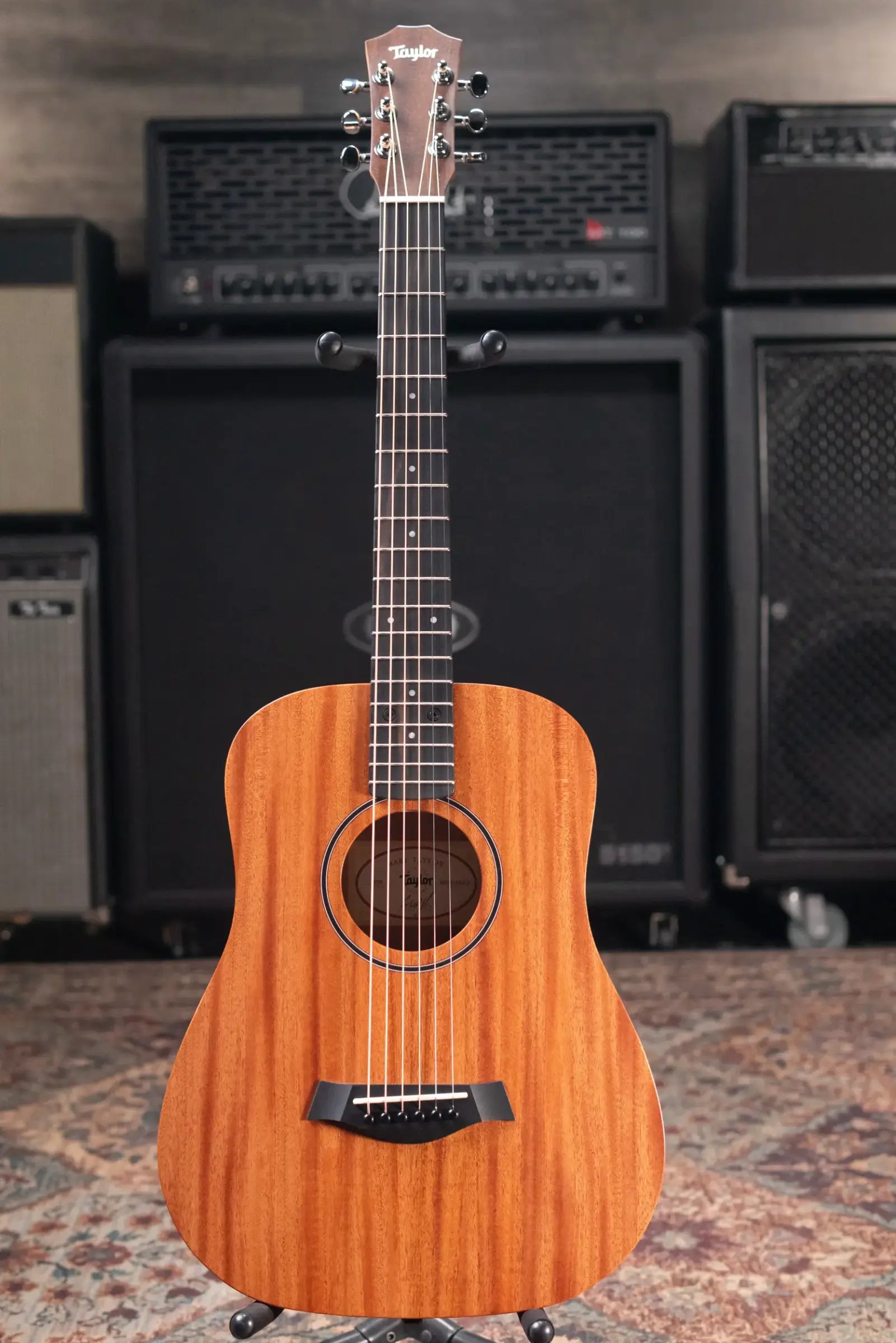 Taylor BT2 Mahogany Acoustic Guitar with Gig Bag