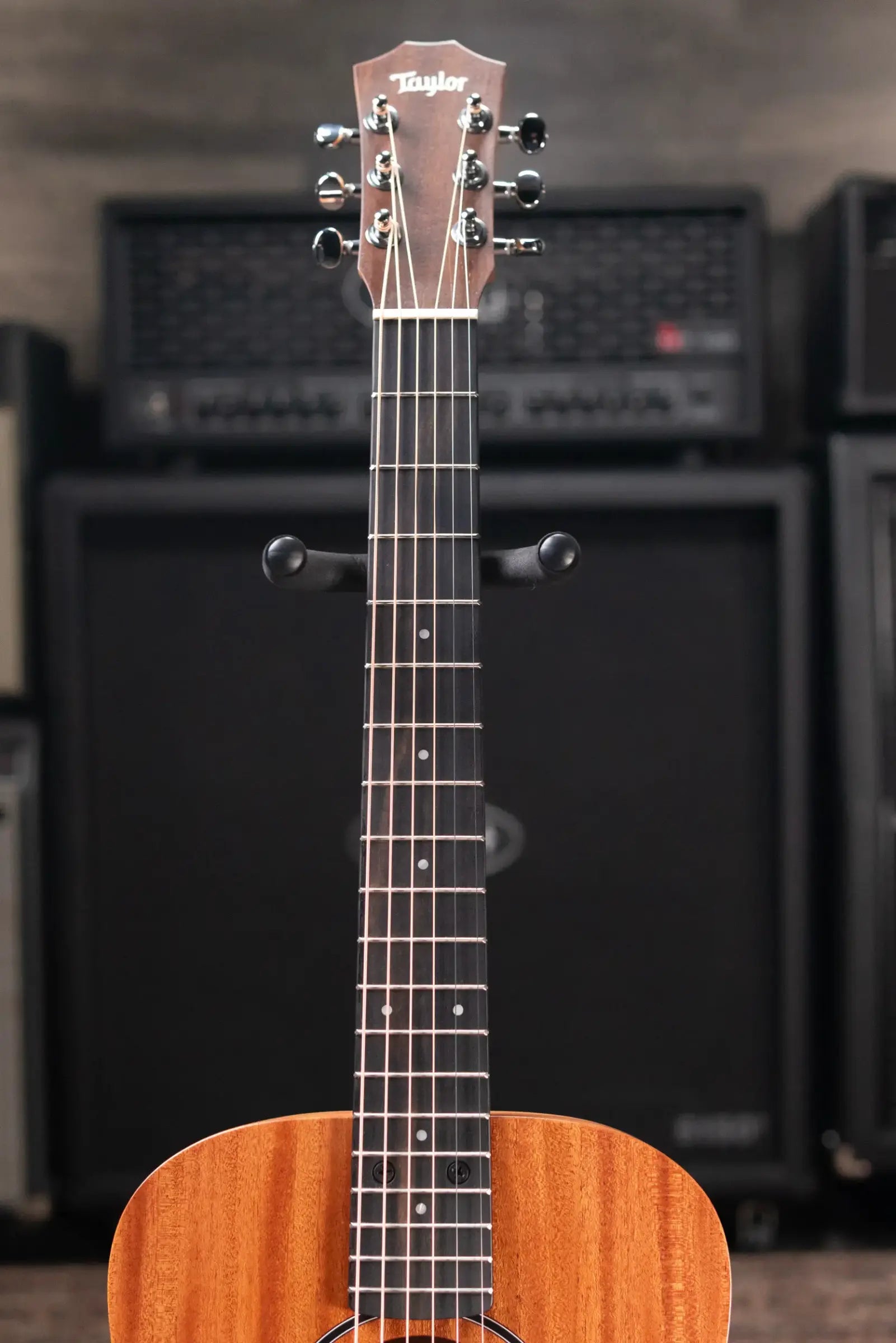 Taylor BT2 Mahogany Acoustic Guitar with Gig Bag