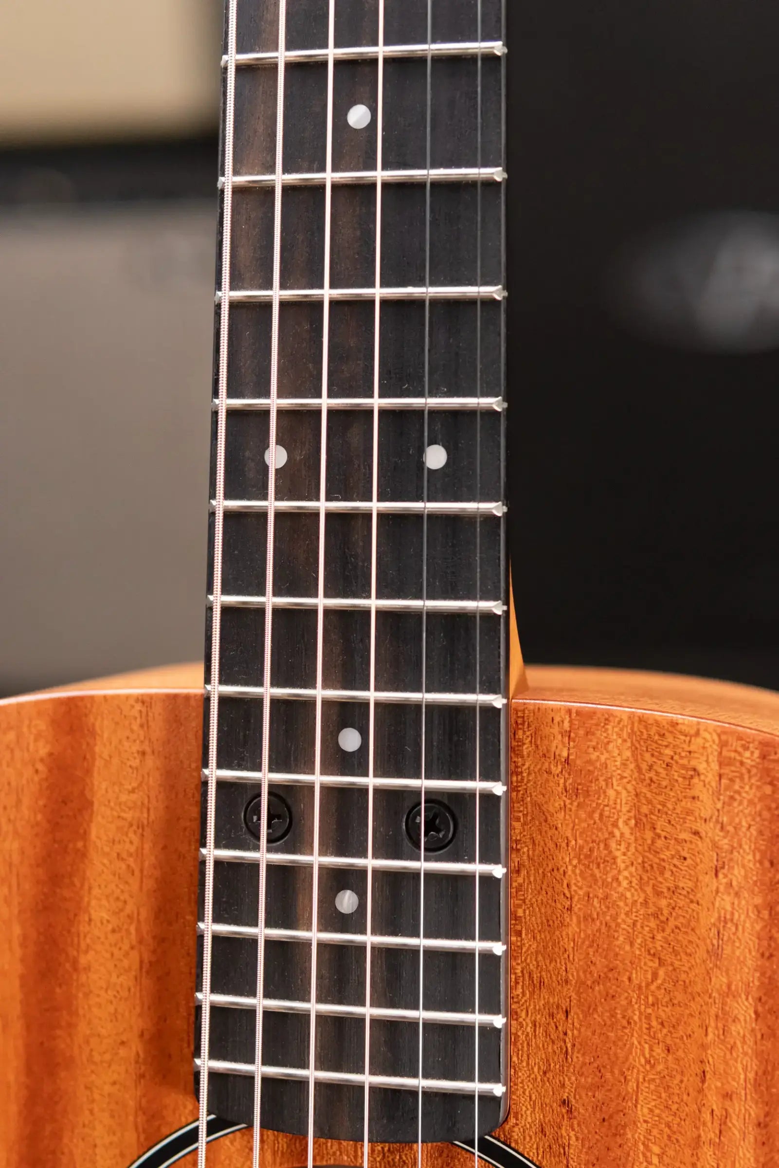 Taylor BT2 Mahogany Acoustic Guitar with Gig Bag